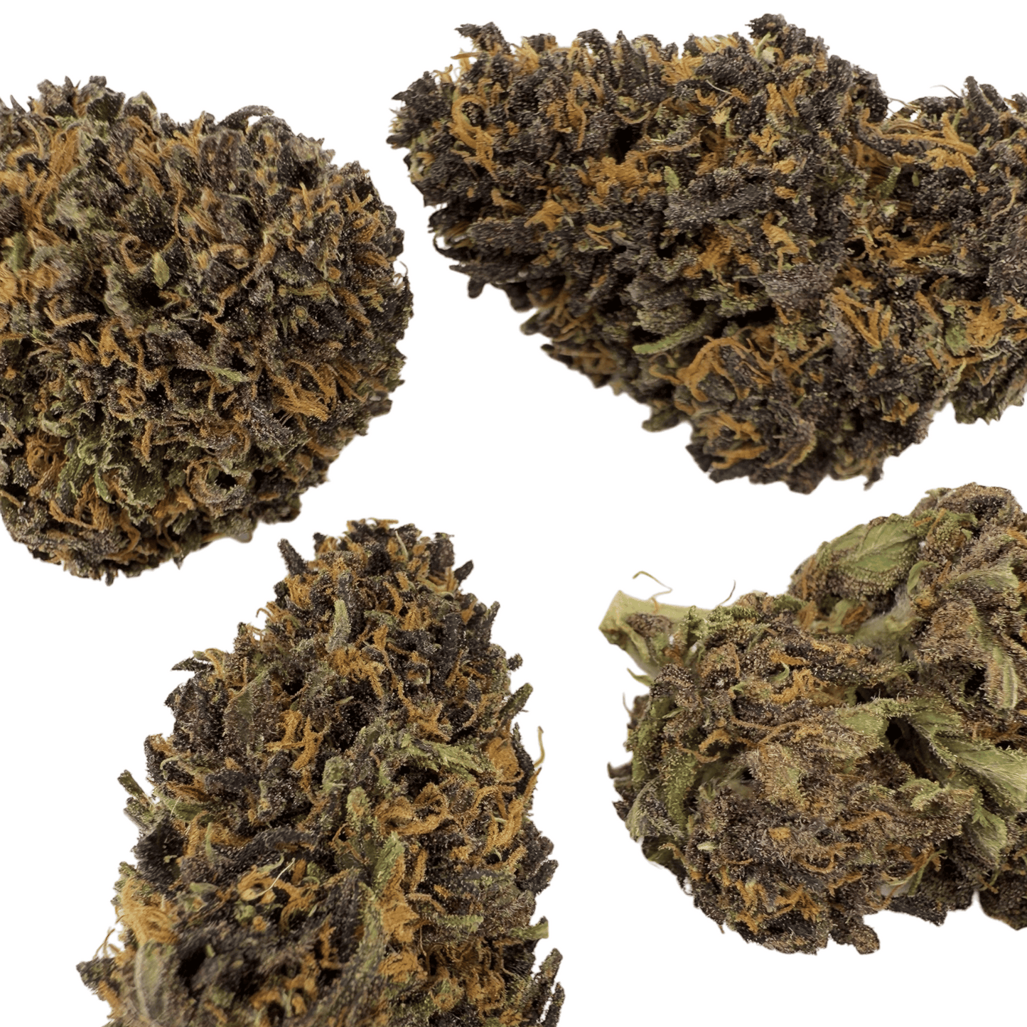BLUE MERINGUE – BIO-CBD-BLÜTE