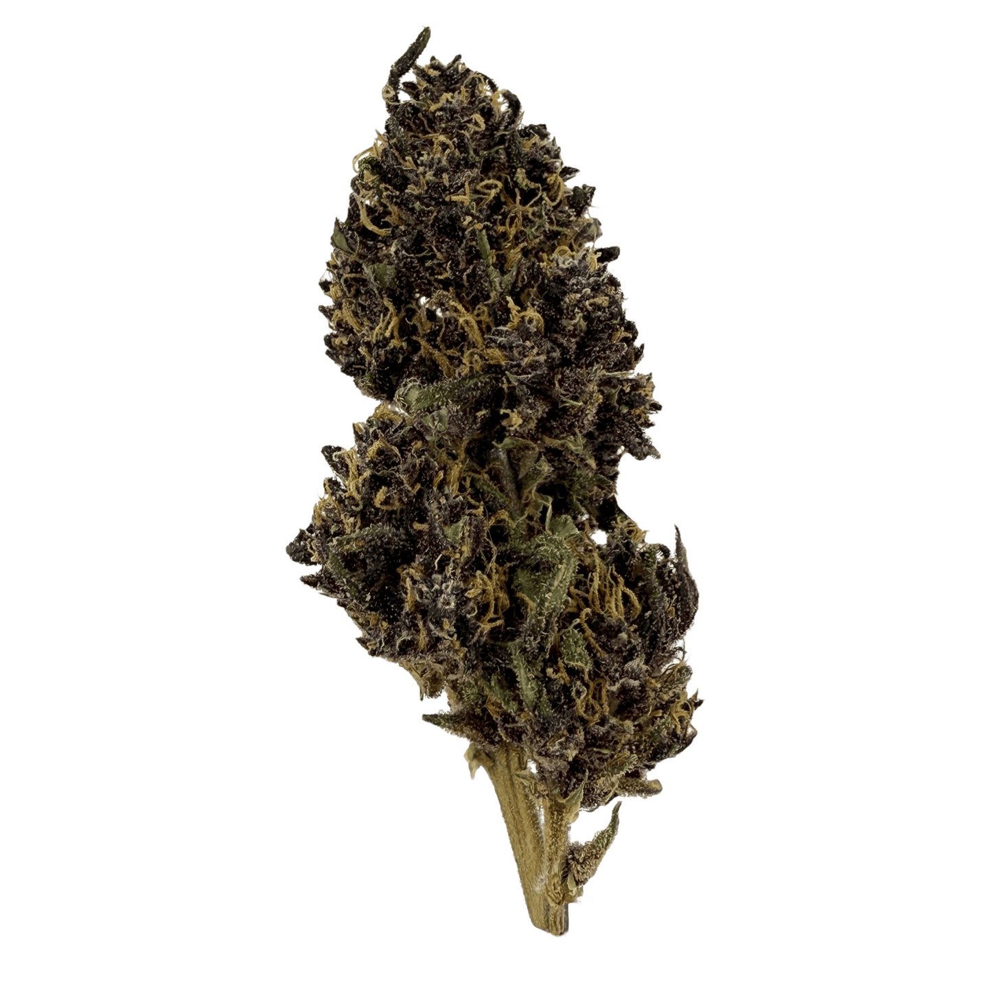 DEEP PURPLE – BIO-CBD-BLÜTE