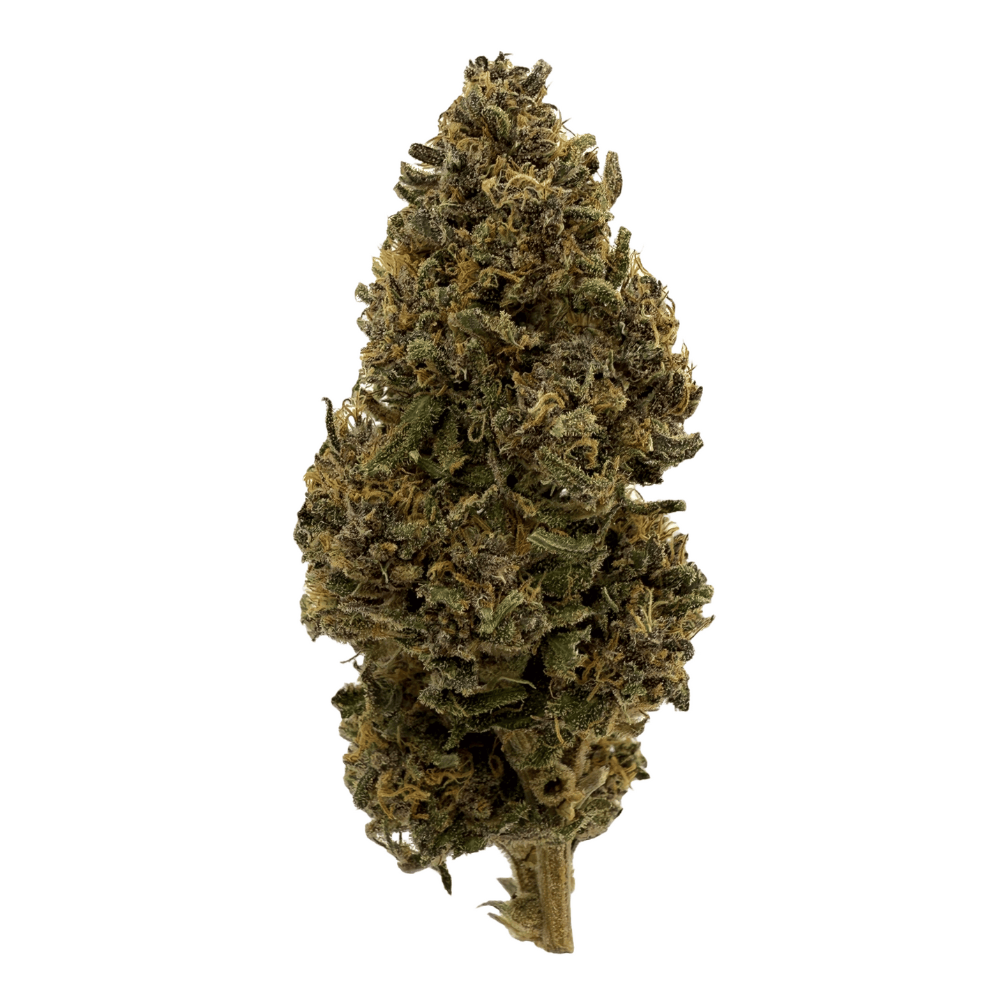 DEEP PURPLE – BIO-CBD-BLÜTE