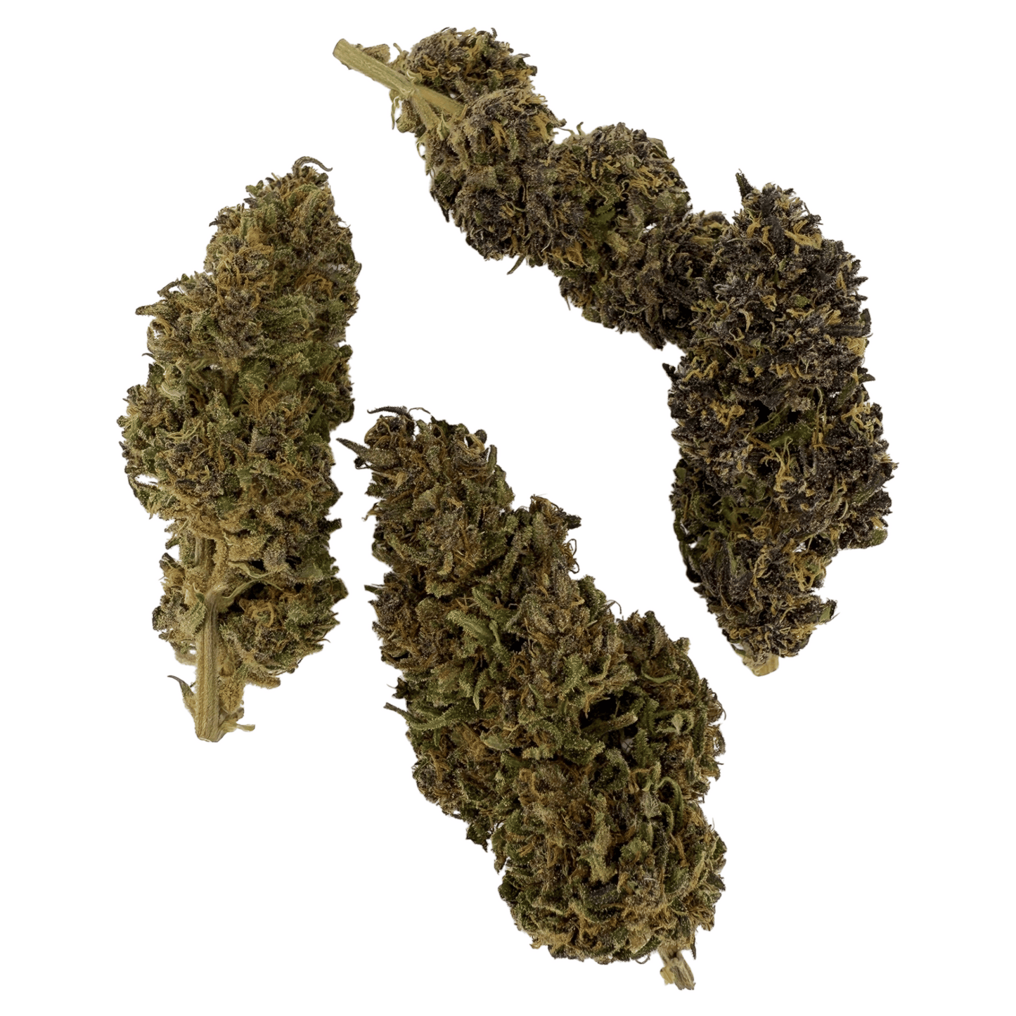 DEEP PURPLE – BIO-CBD-BLÜTE