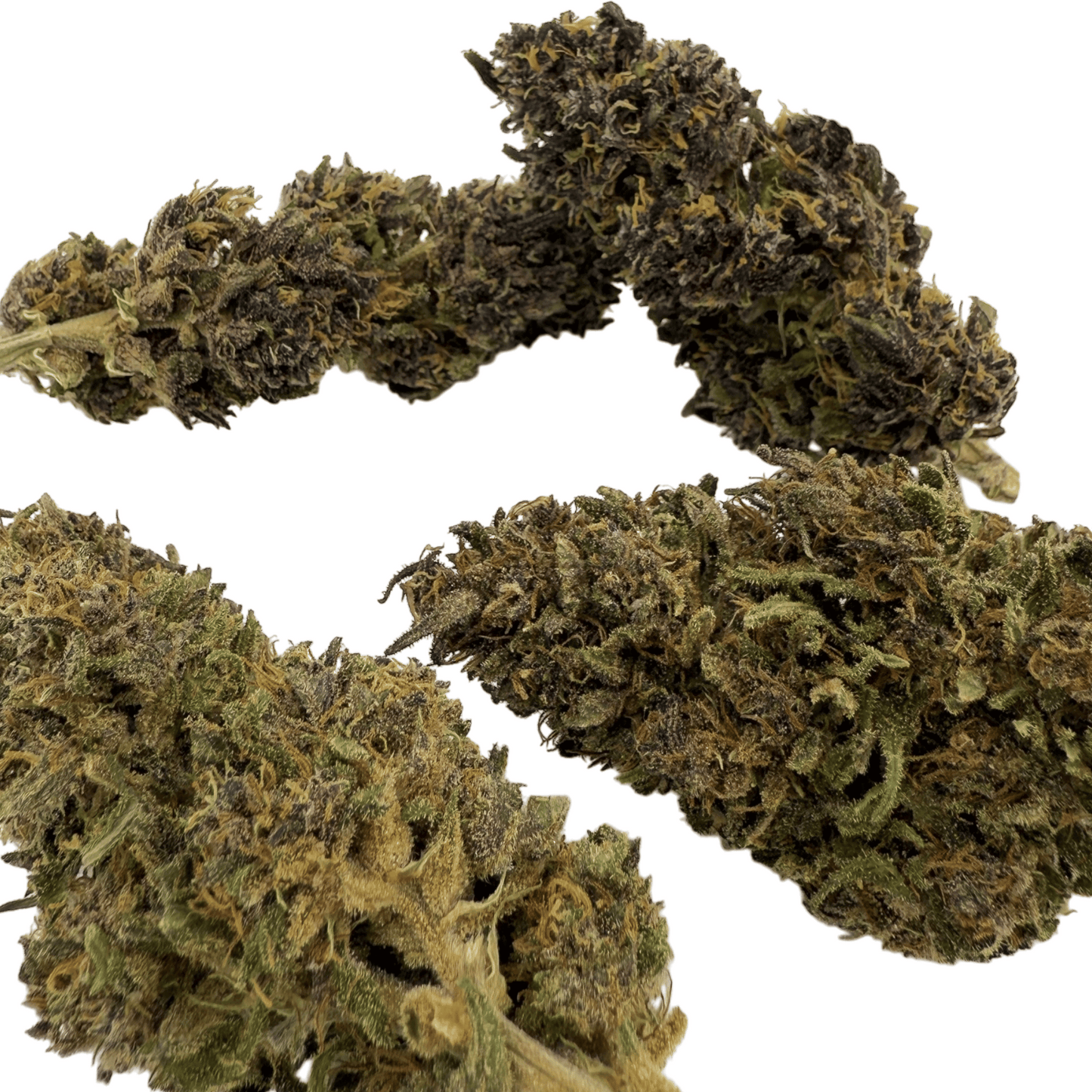 DEEP PURPLE – BIO-CBD-BLÜTE