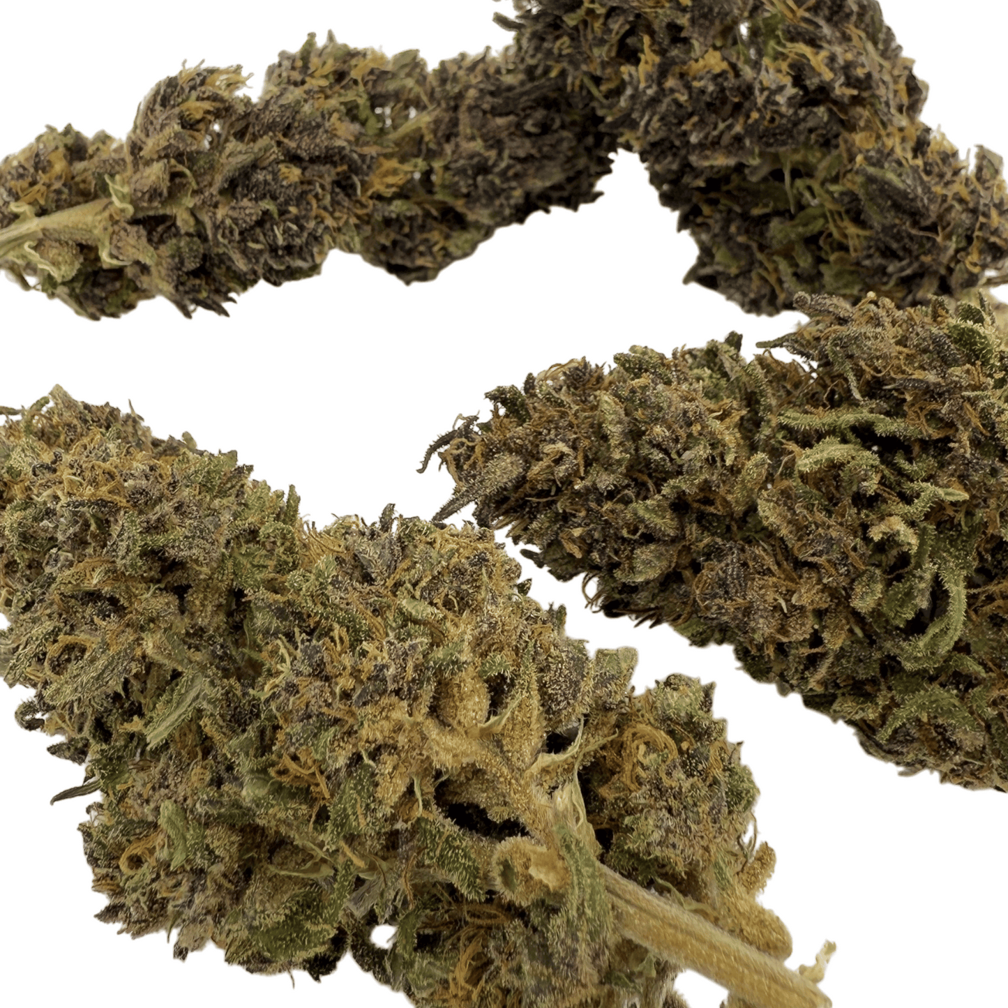DEEP PURPLE – BIO-CBD-BLÜTE