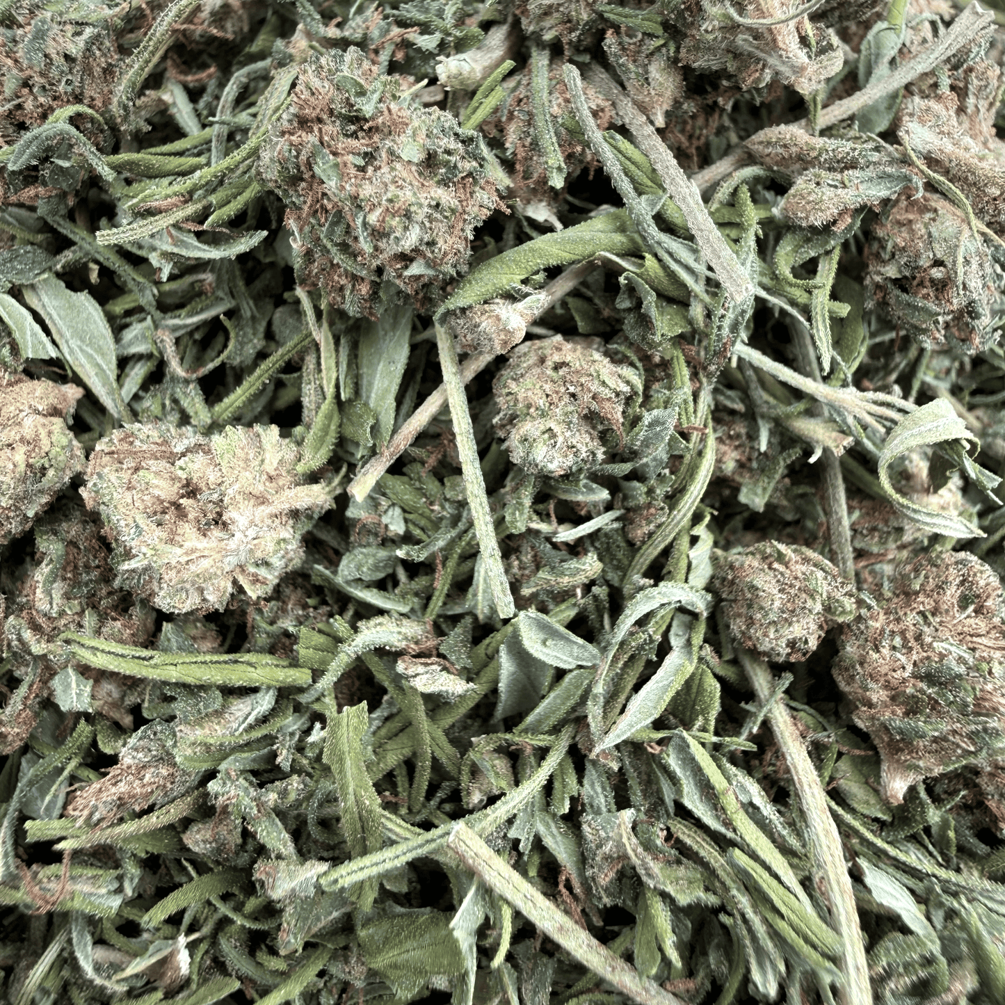 TRIM PREMIUM – BIO-CBD-BLÜTE