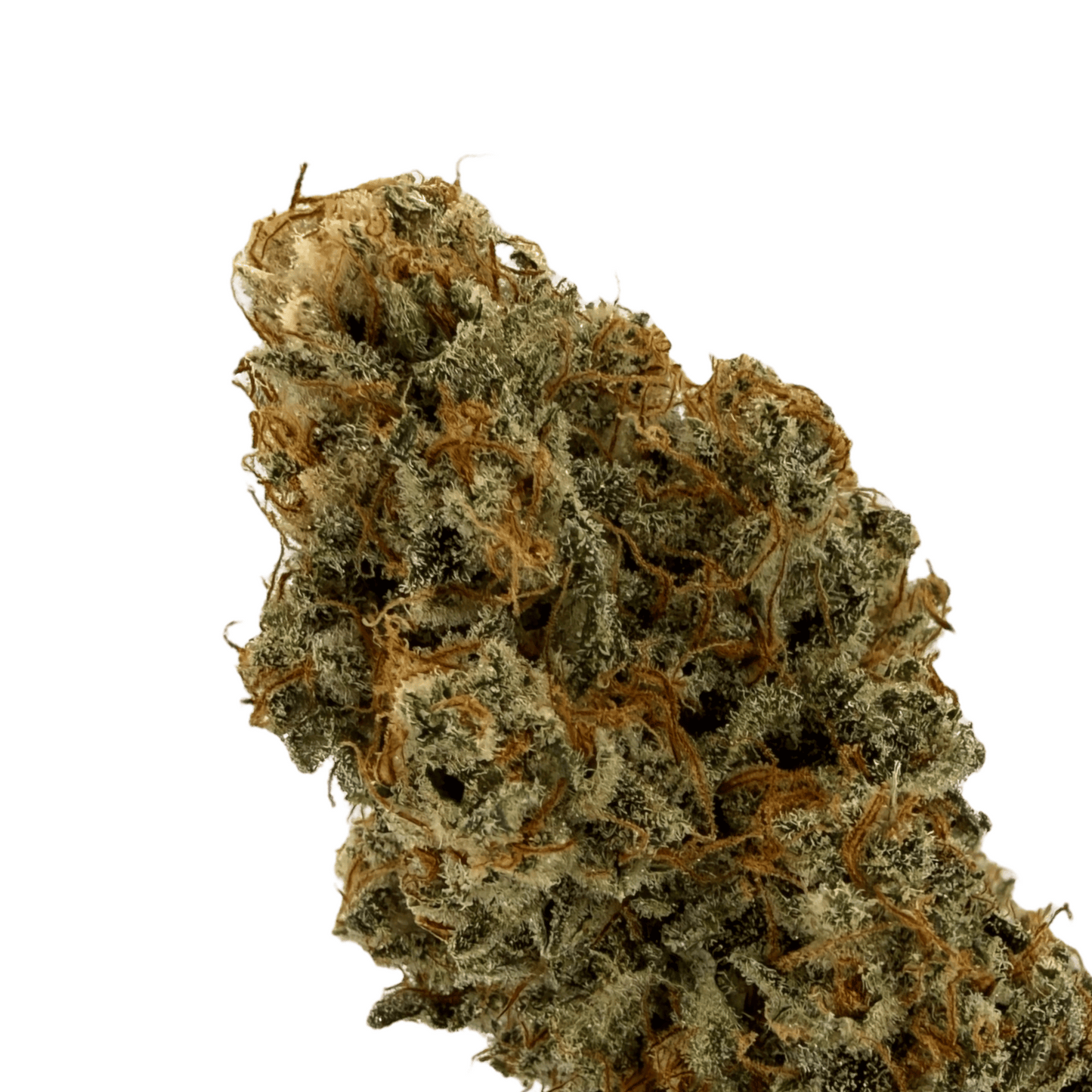 Teufelsfrucht – CBD-Blüte – Indoor