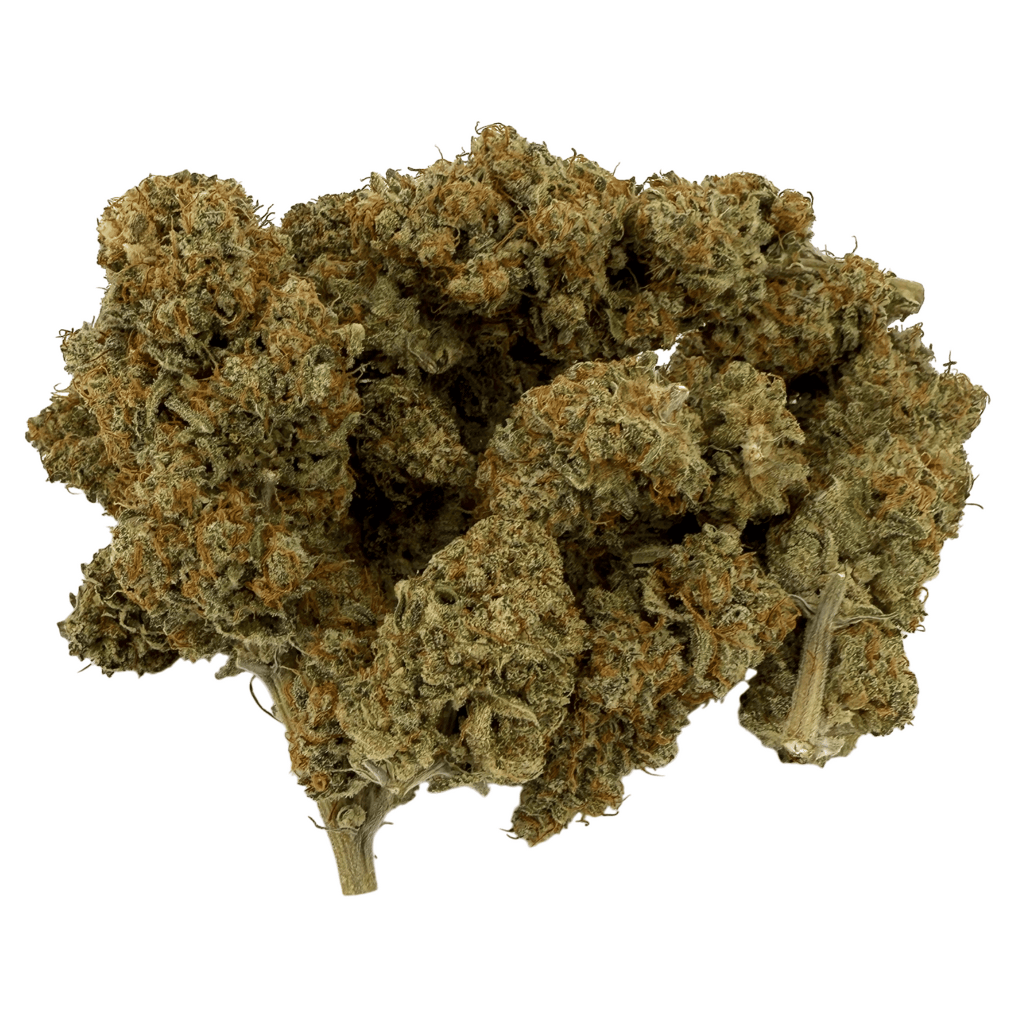Teufelsfrucht – CBD-Blüte – Indoor