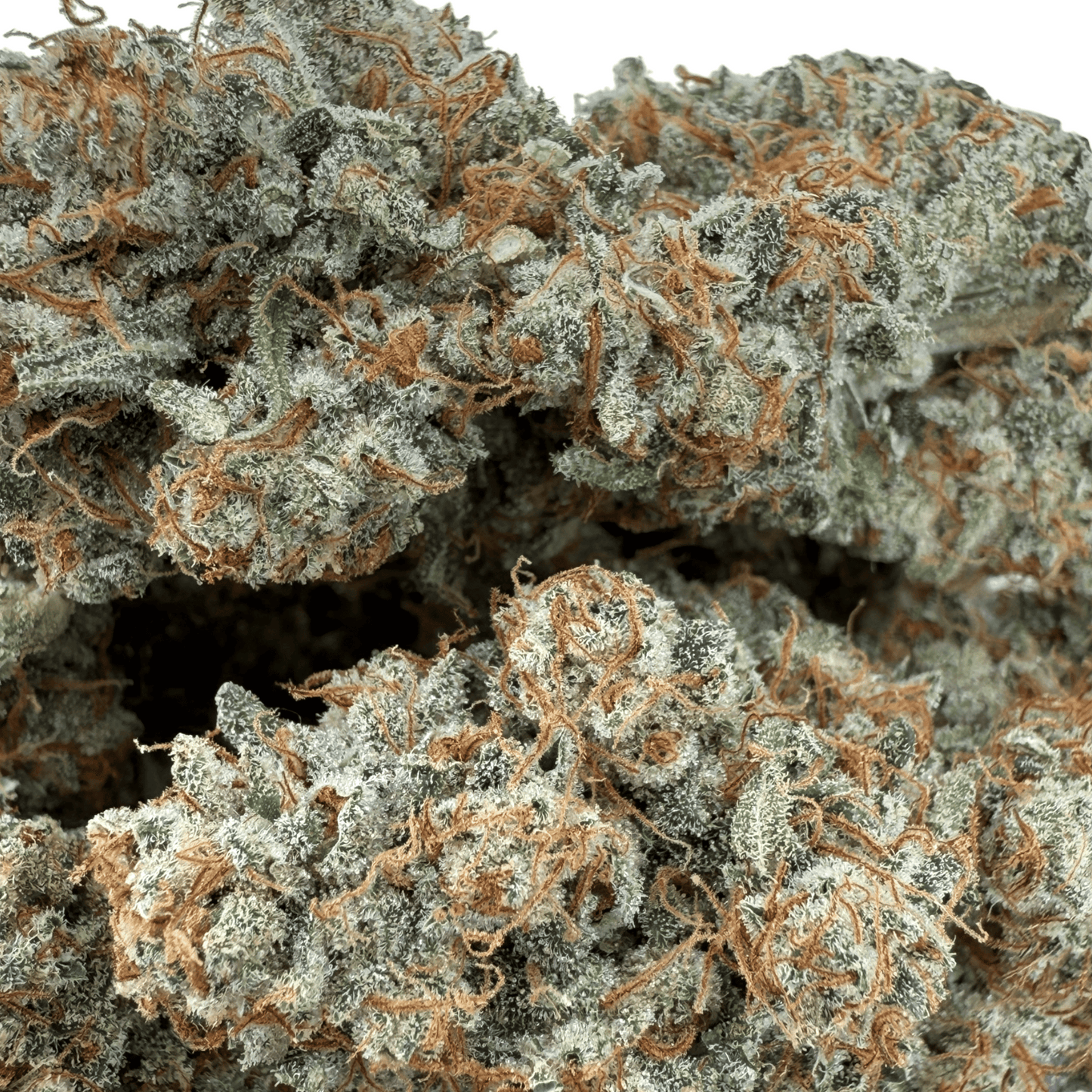 Teufelsfrucht – CBD-Blüte – Indoor