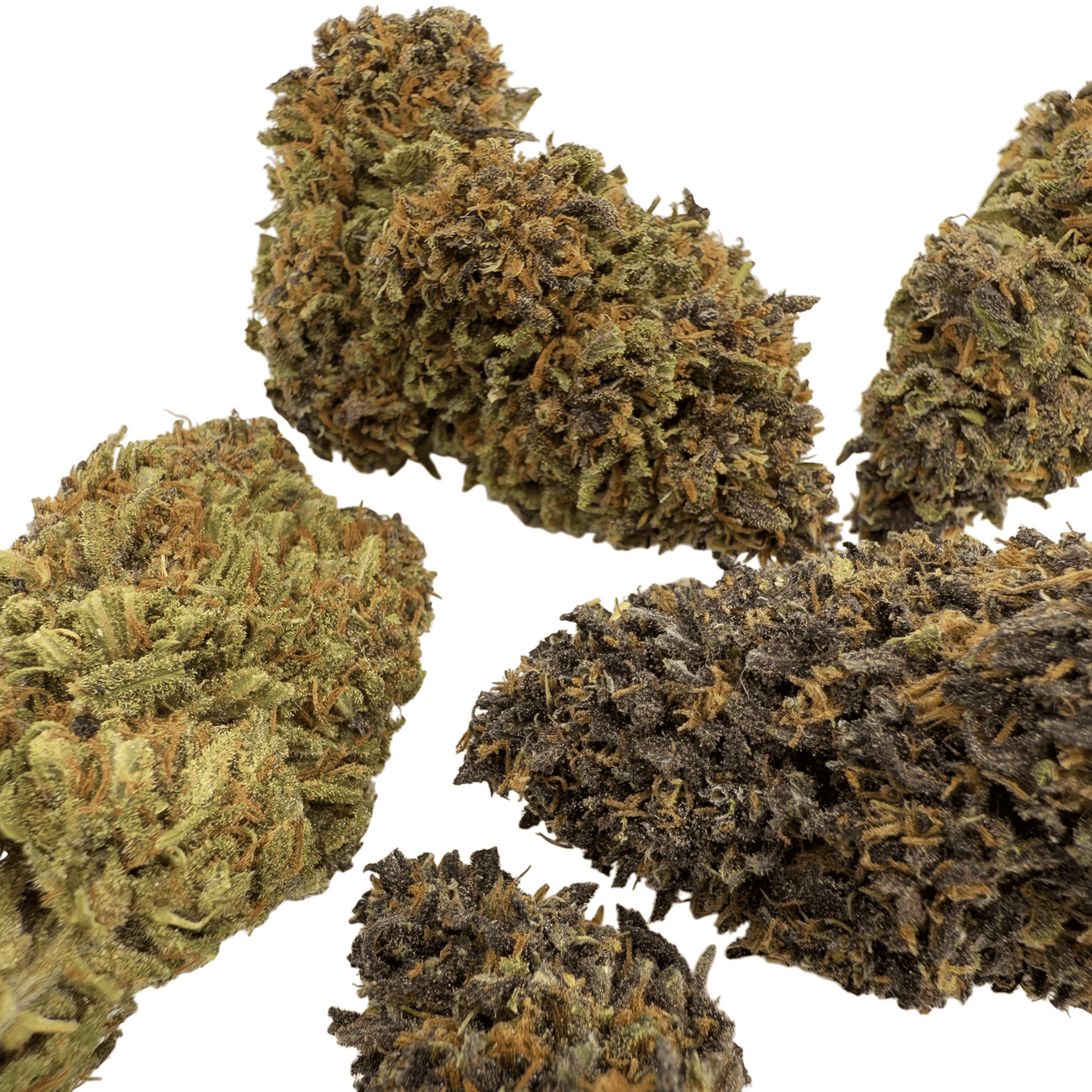 LEGENDARY PLATINUM OG – BIO-CBD-BLÜTE