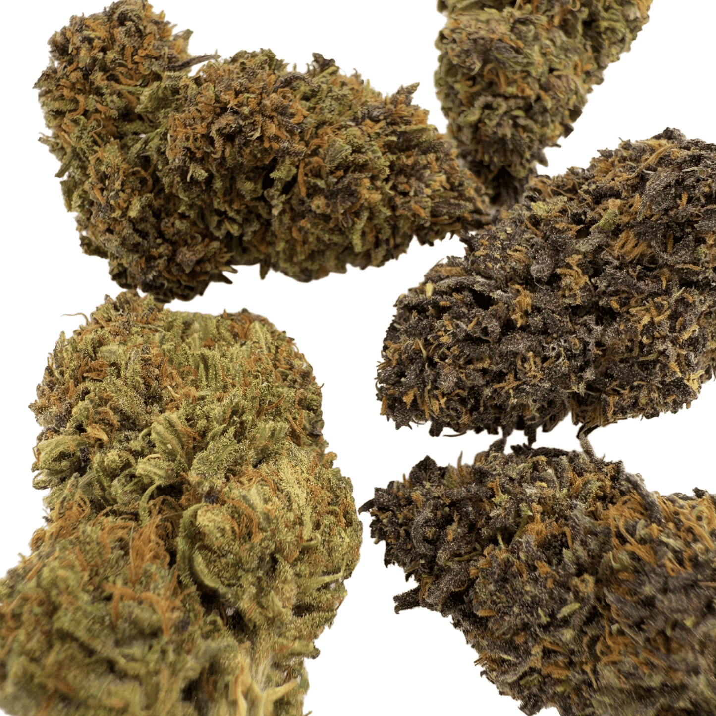LEGENDARY PLATINUM OG – BIO-CBD-BLÜTE