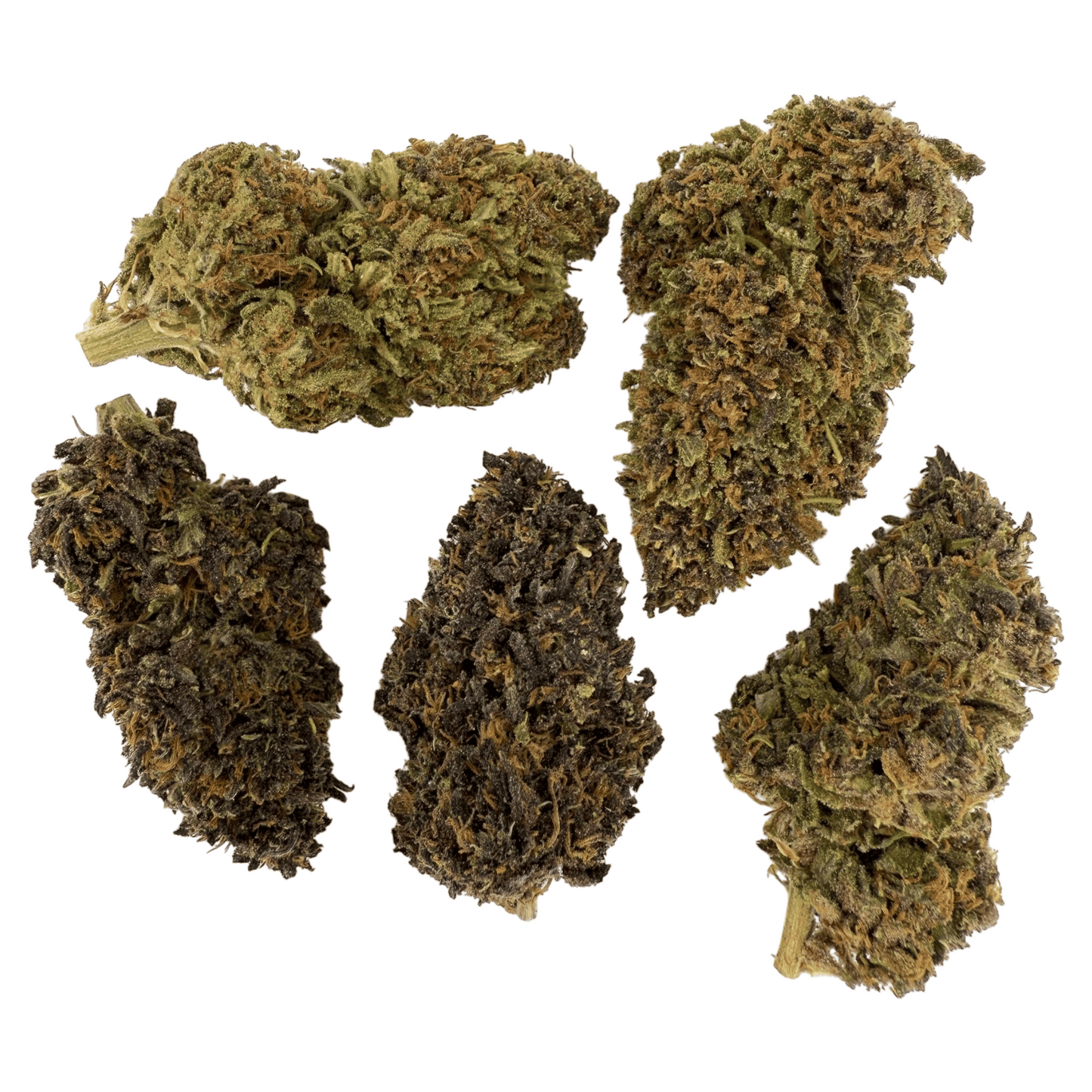LEGENDARY PLATINUM OG – BIO-CBD-BLÜTE