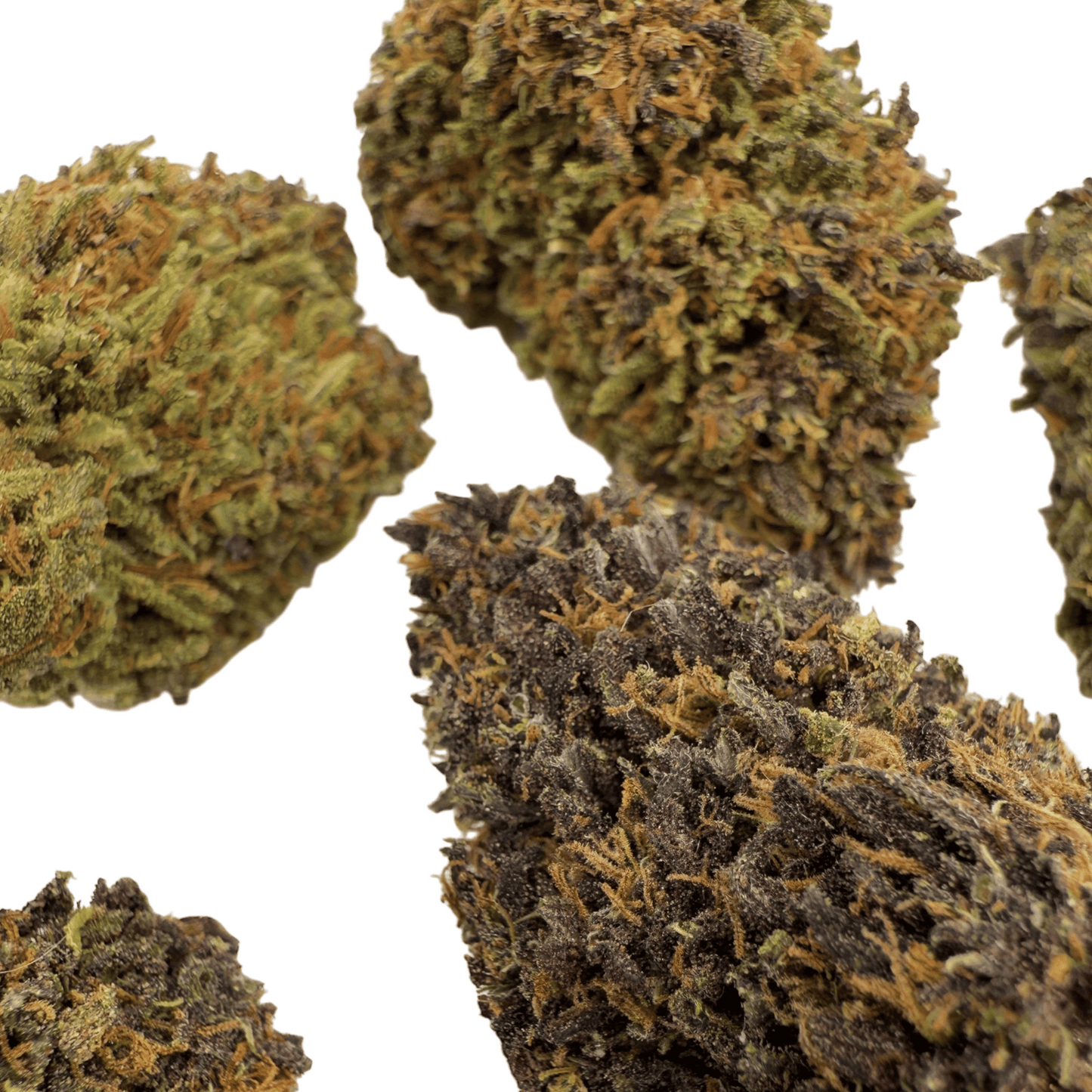 LEGENDARY PLATINUM OG – BIO-CBD-BLÜTE