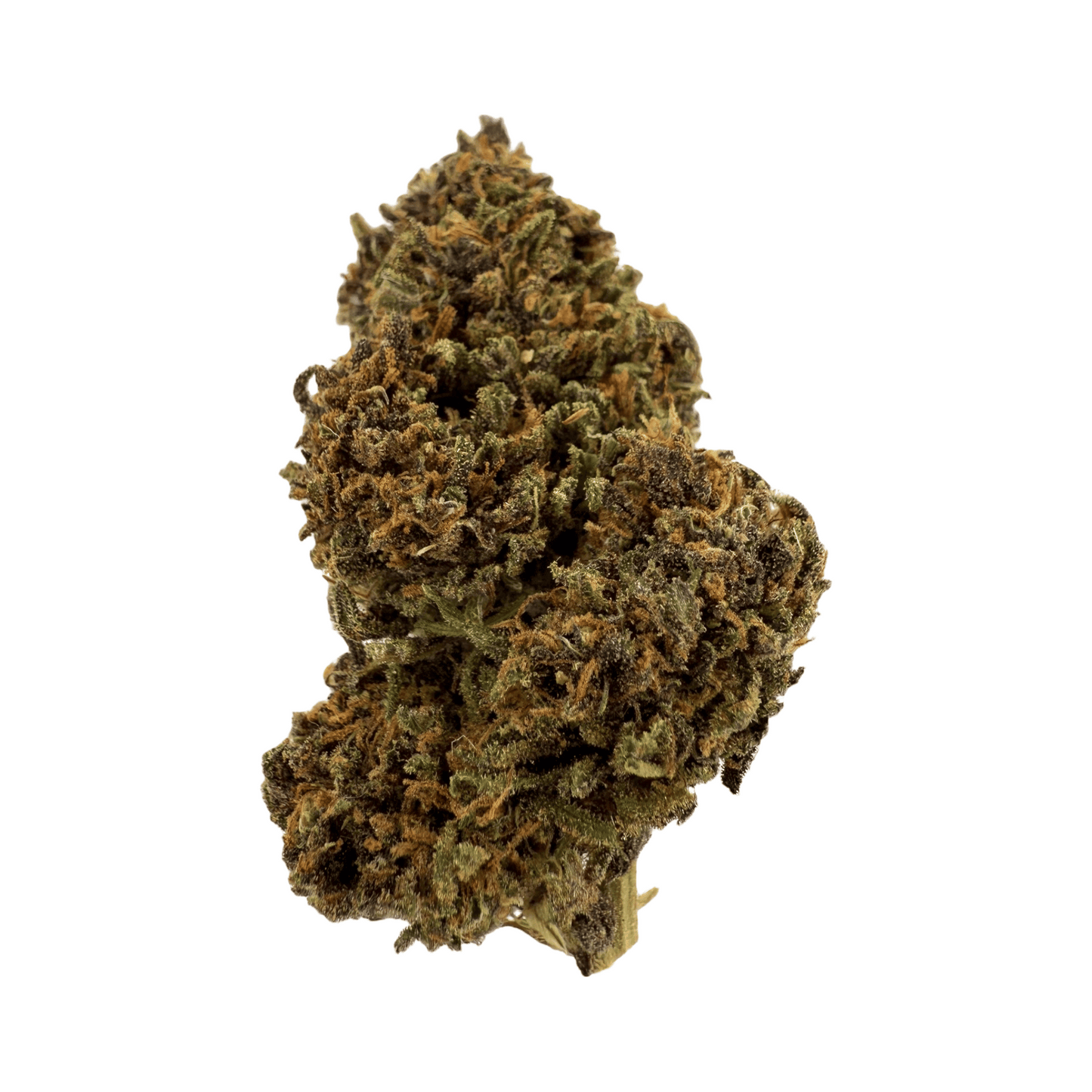 LEGENDARY PLATINUM OG – BIO-CBD-BLÜTE