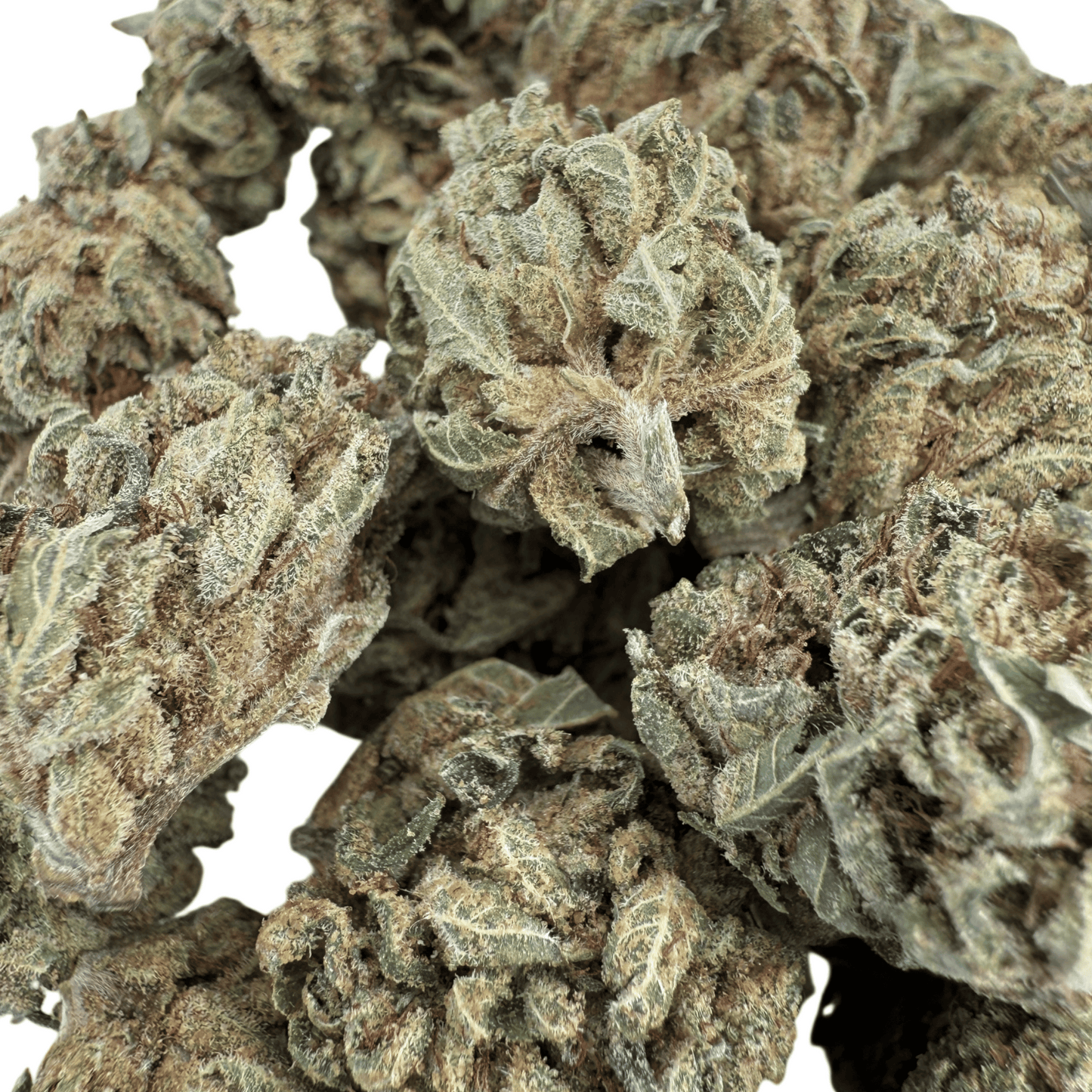 MISS B – BIO-CBD-BLÜTE