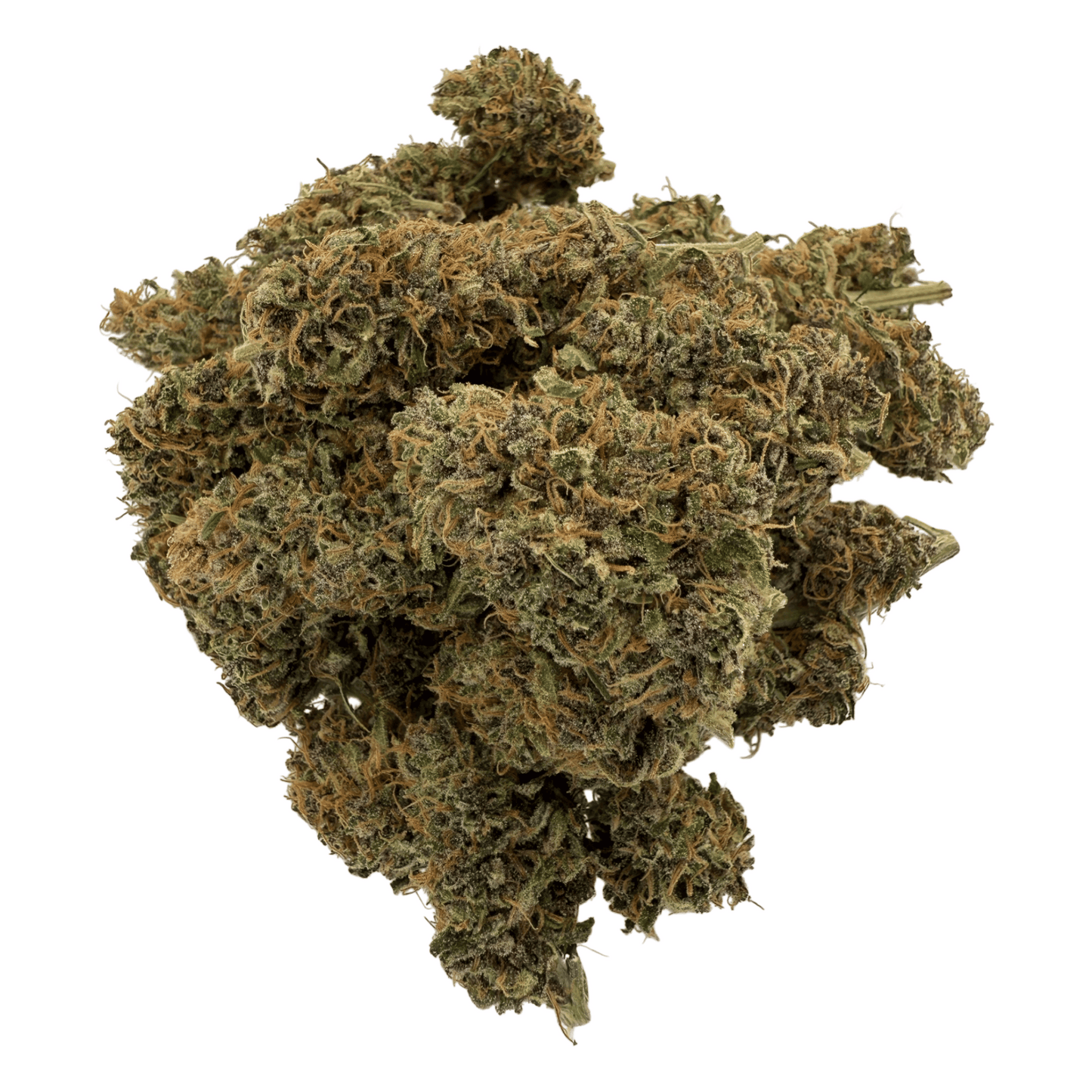OCARINA OF GAS – CBD-BLÜTE – INDOOR