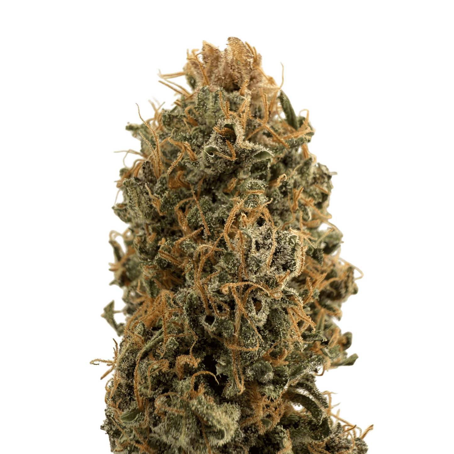 OCARINA OF GAS – CBD-BLÜTE – INDOOR