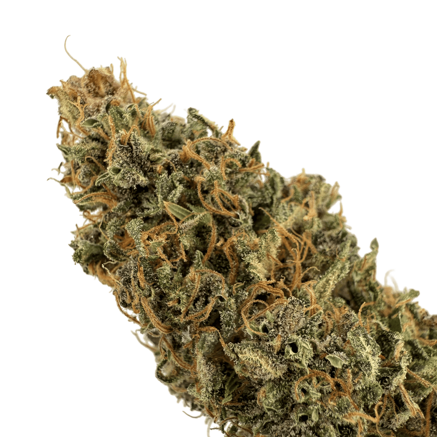 OCARINA OF GAS – CBD-BLÜTE – INDOOR