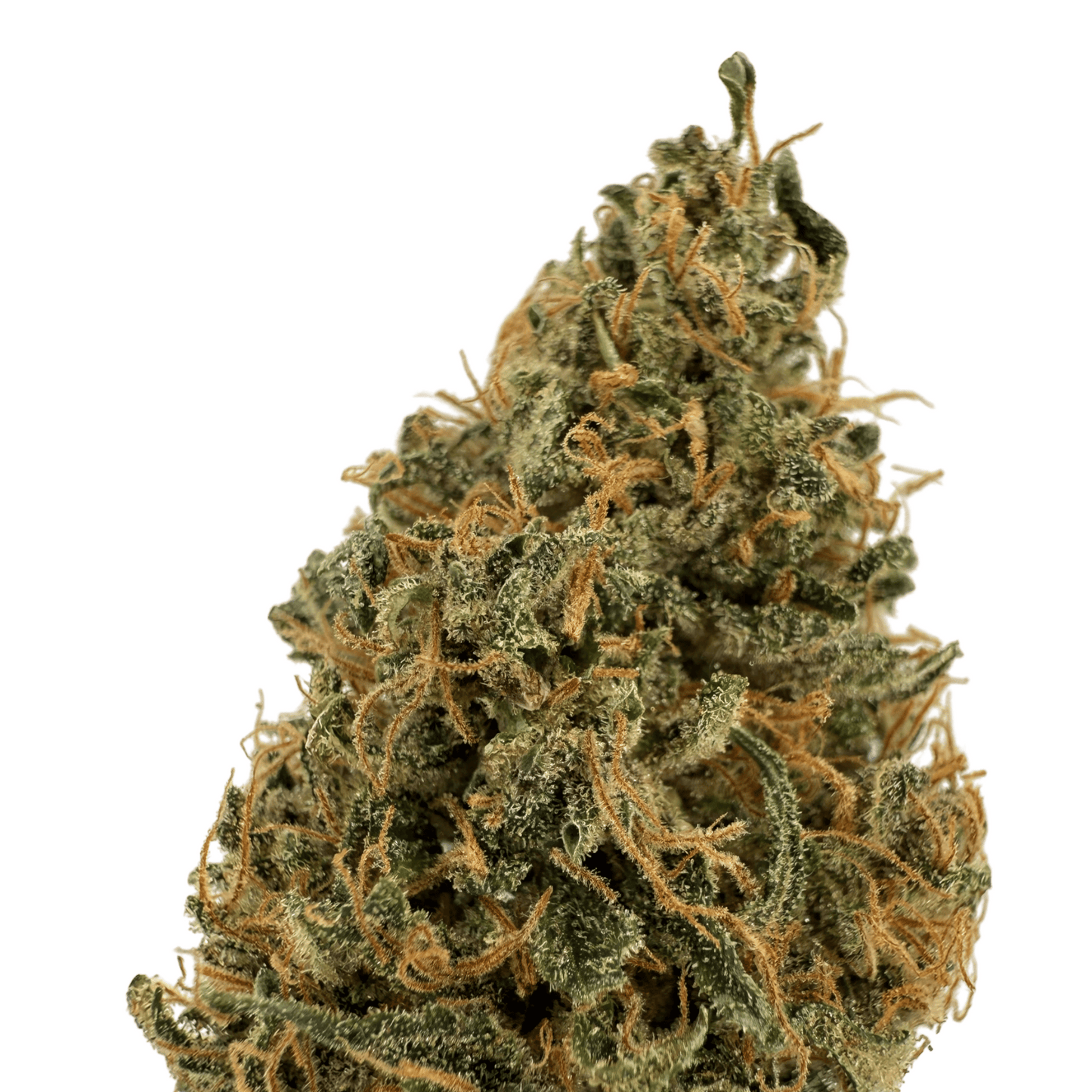 OCARINA OF GAS – CBD-BLÜTE – INDOOR