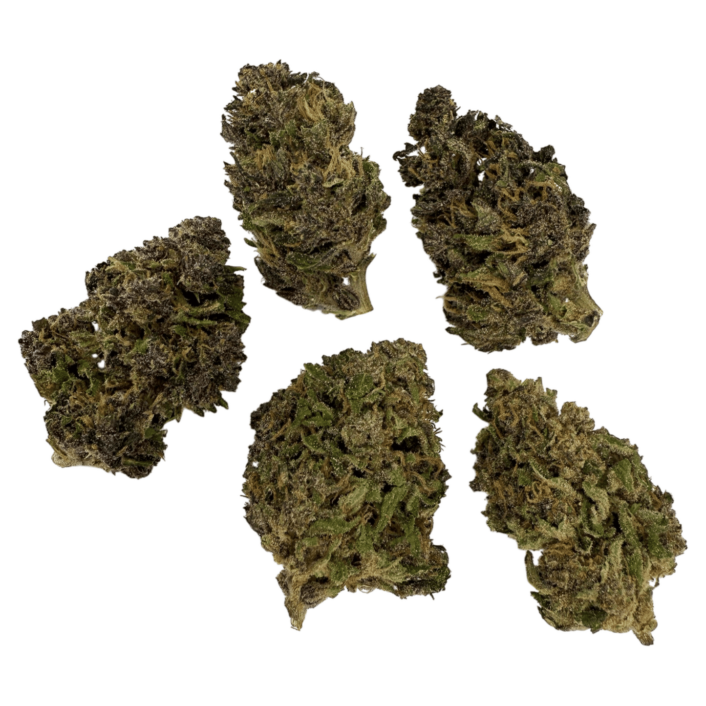 PURPLE HAZE – BIO-CBD-BLÜTE