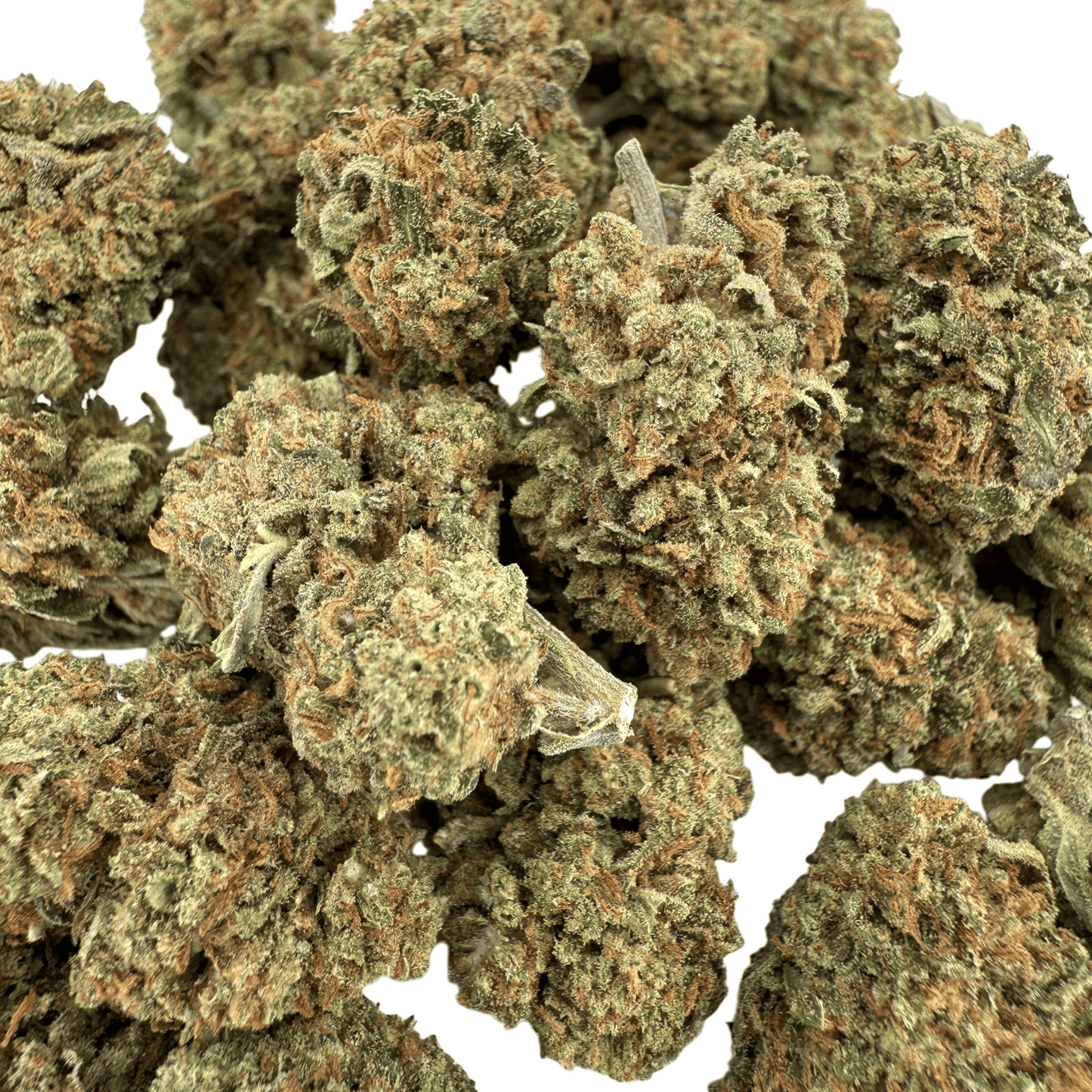 RAINBOW GAS – KLEINE BIO-CBD-BLÜTE