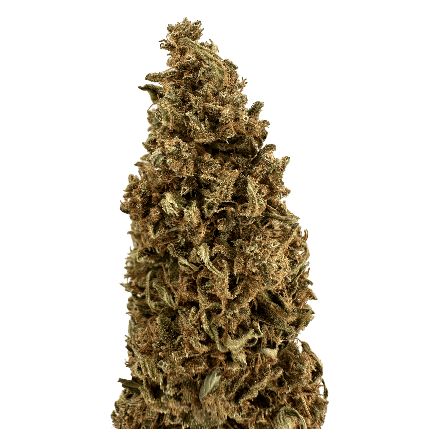 SKUNK DREAM – BIO-CBD-BLÜTE