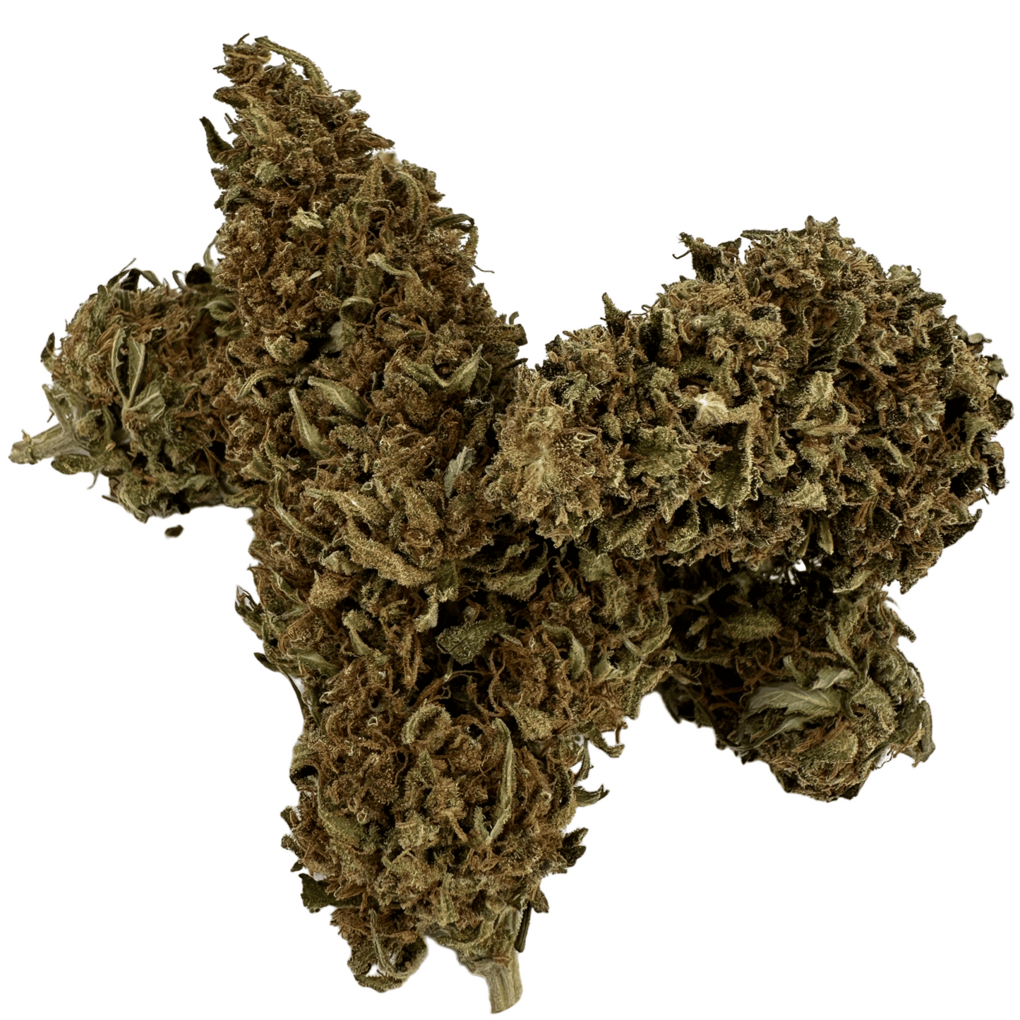 SKUNK DREAM – BIO-CBD-BLÜTE
