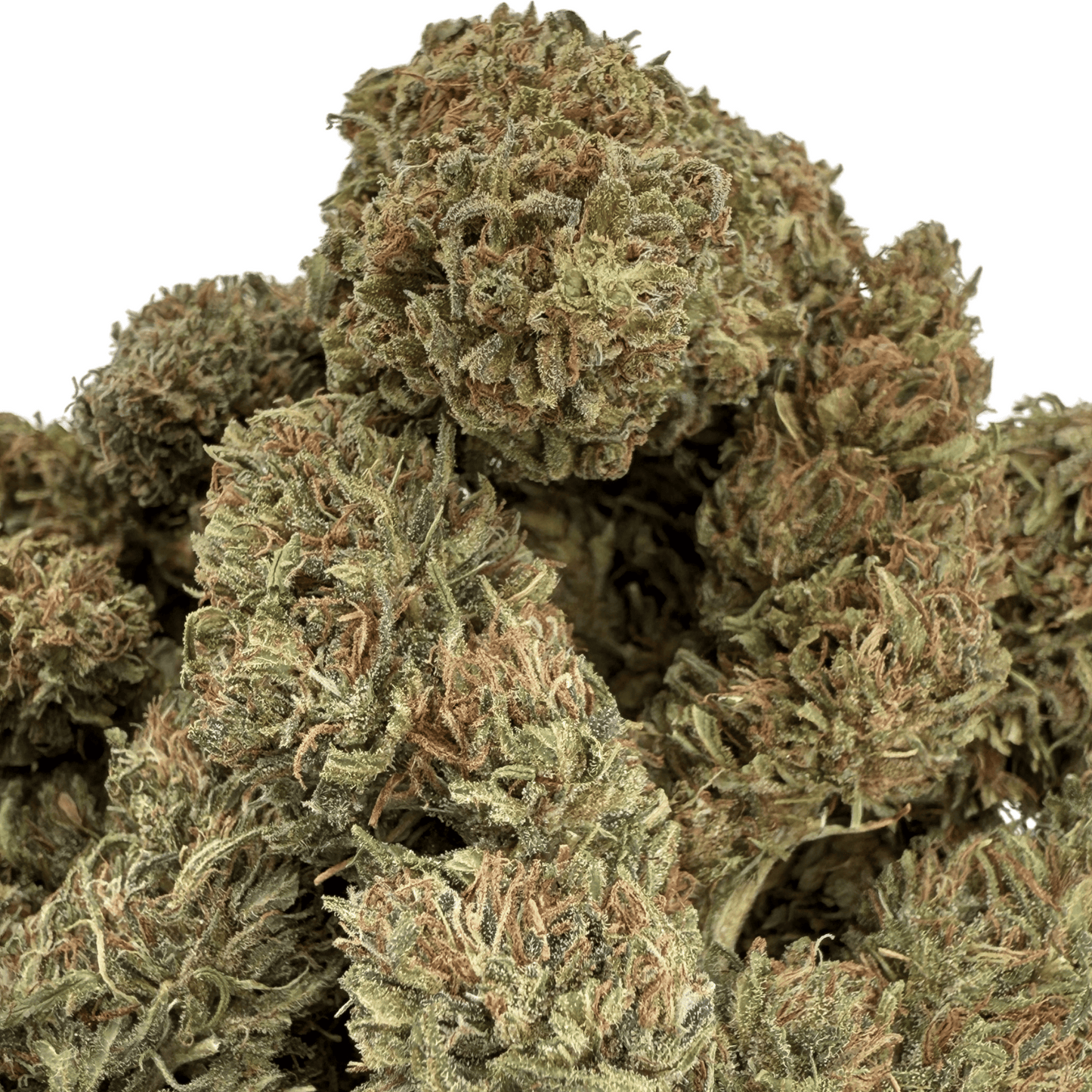 TROPICAL - BIO-CBD-BLÜTE