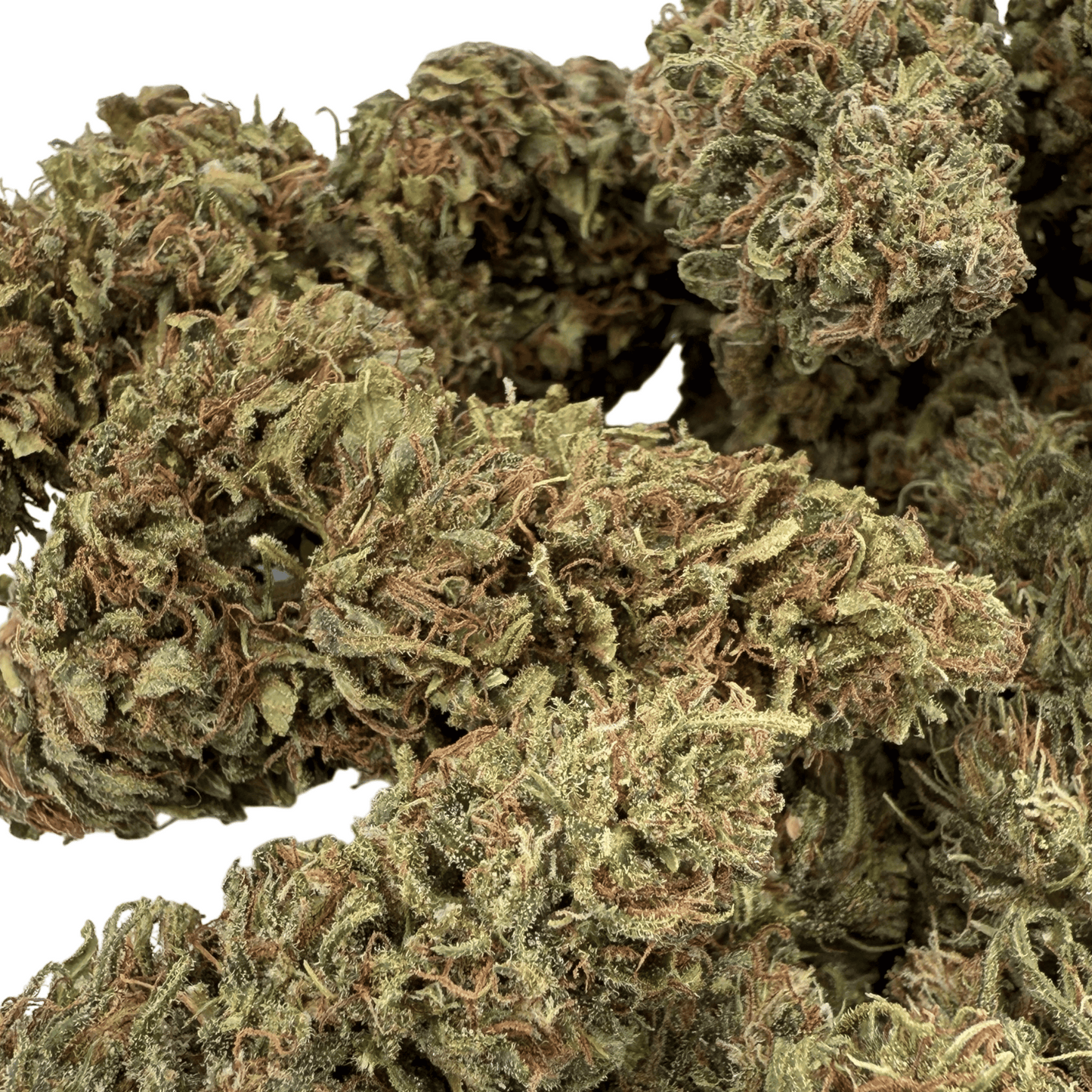 TROPICAL - BIO-CBD-BLÜTE