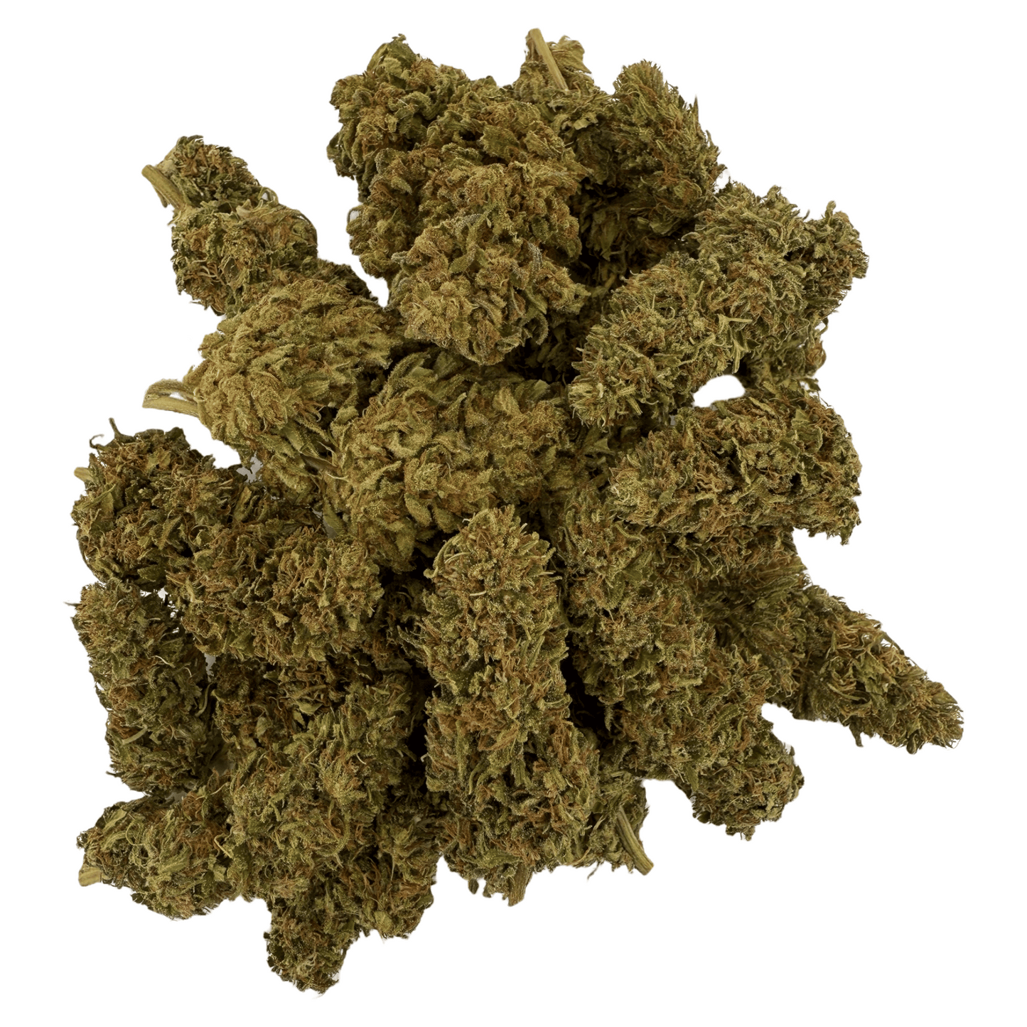 TROPICAL - BIO-CBD-BLÜTE
