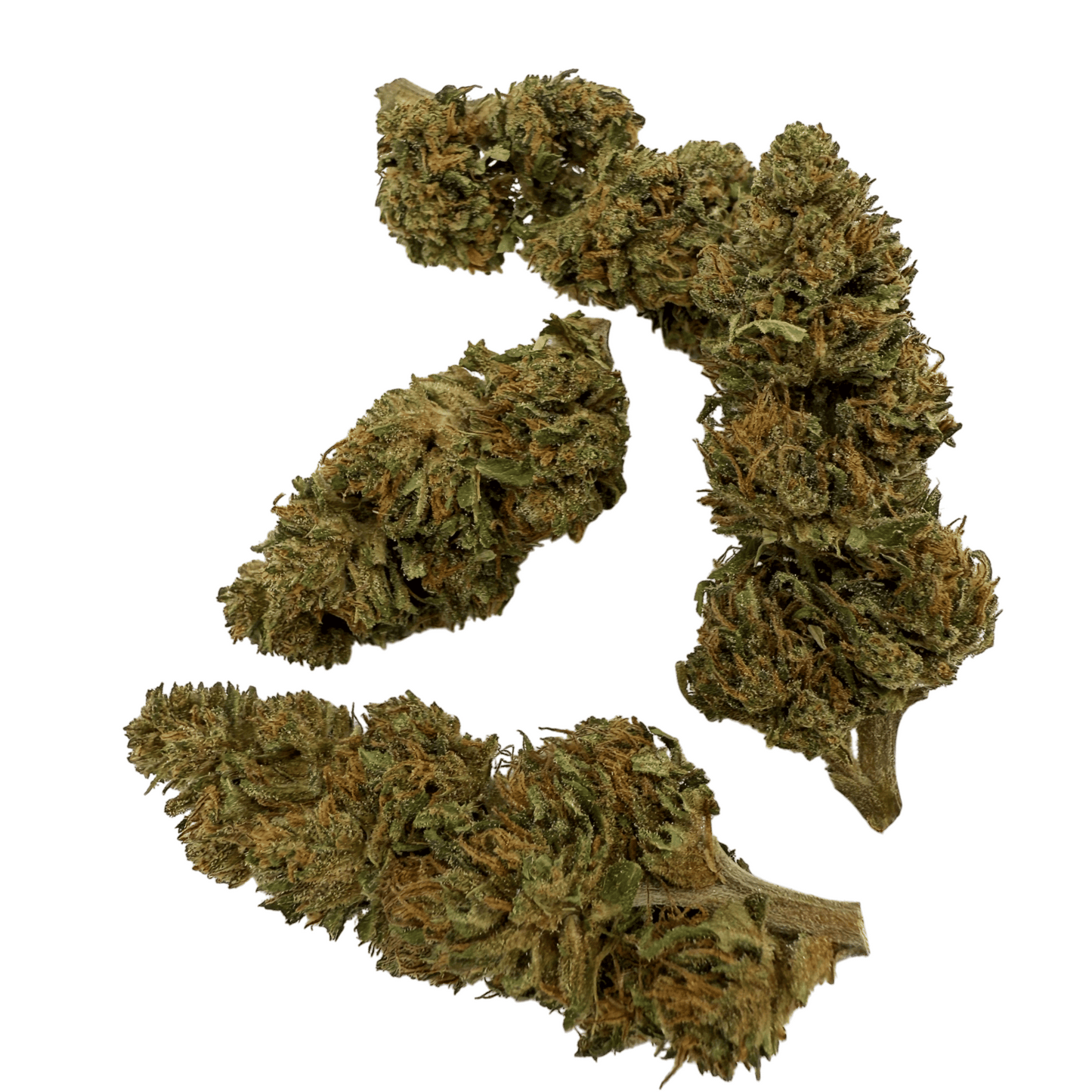 VITALITY - BIO-CBD-BLÜTE
