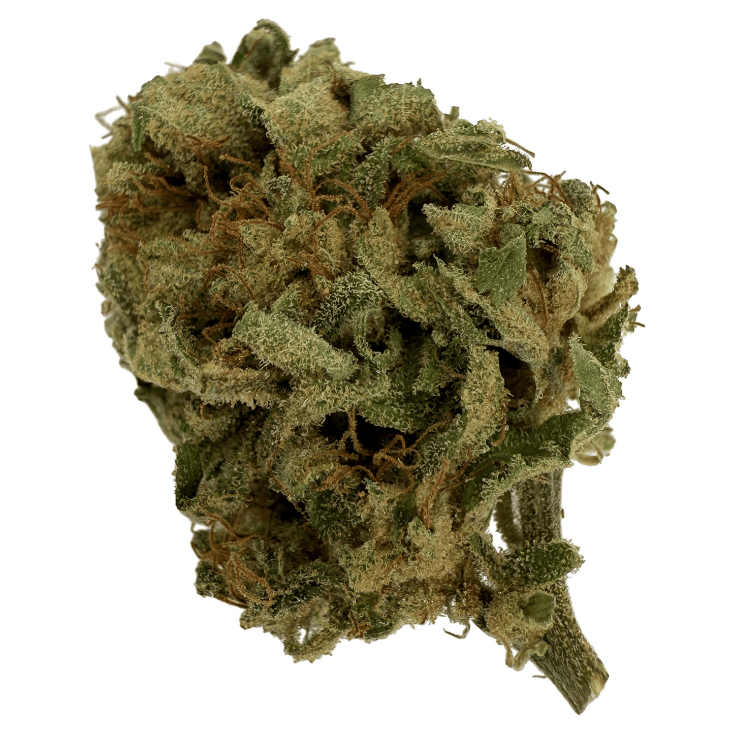 MANGO HAZE – BIO-CBD-BLÜTE