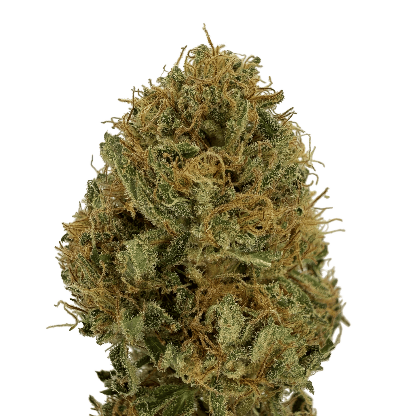 SUPER LEMON – BIO-CBD-BLUME