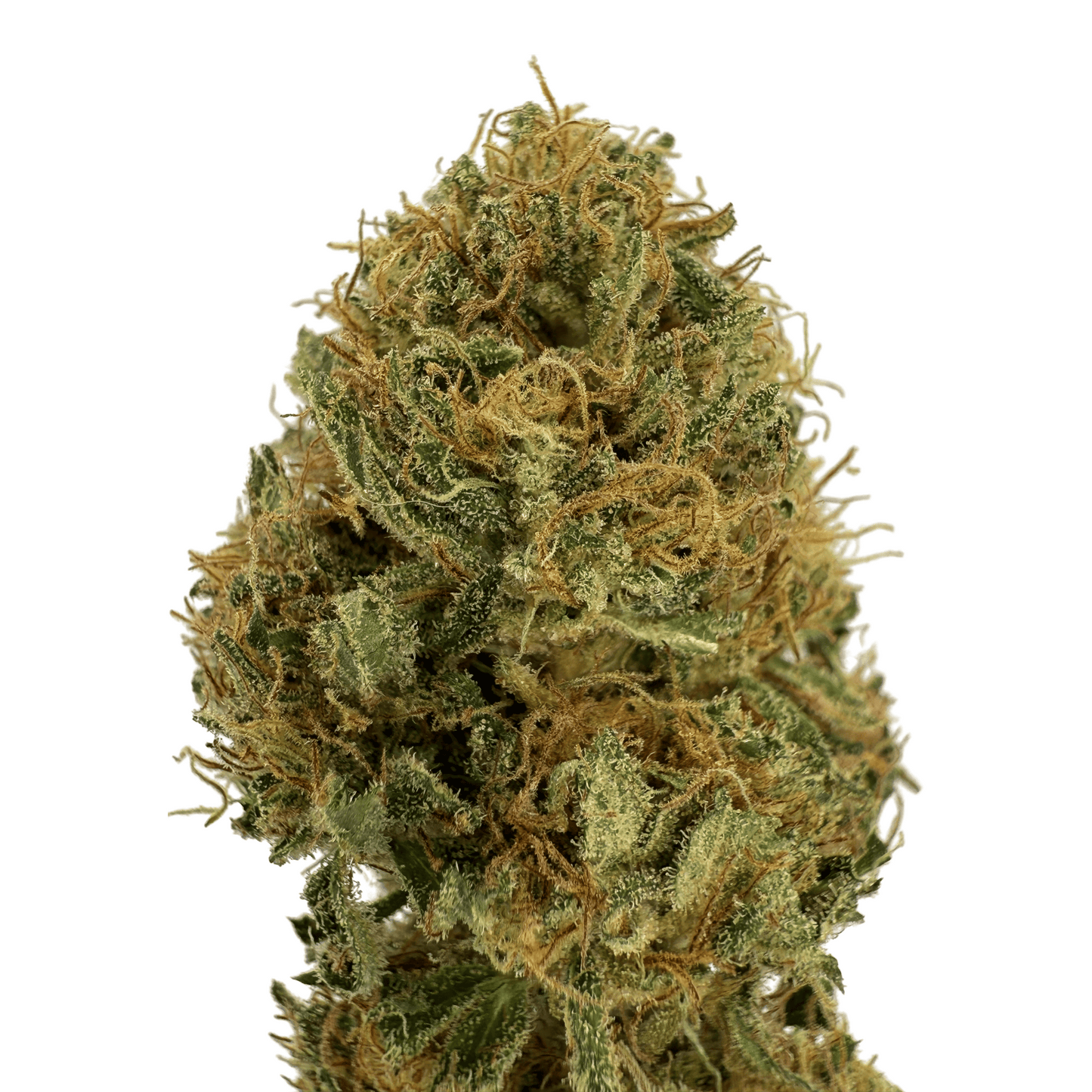 SUPER LEMON – BIO-CBD-BLUME