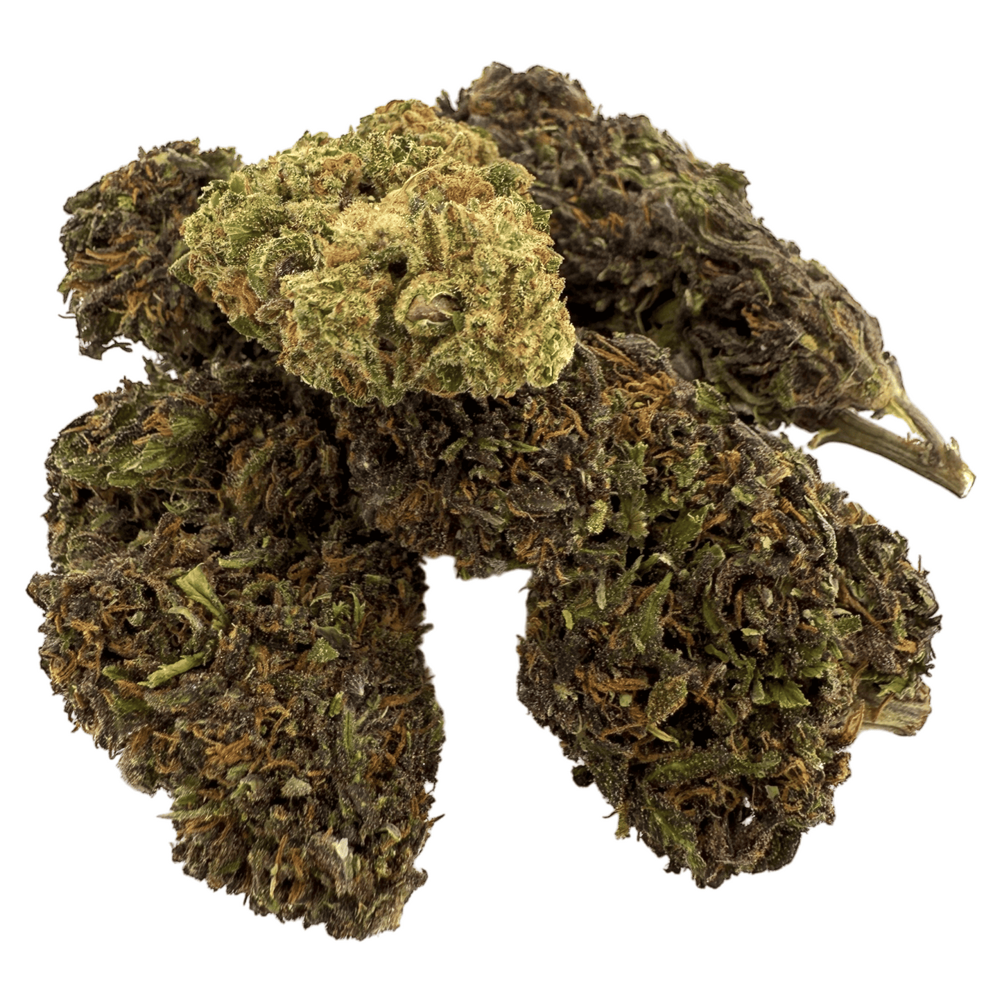 DOUBLE COOKIE – BIO-CBD-BLÜTE
