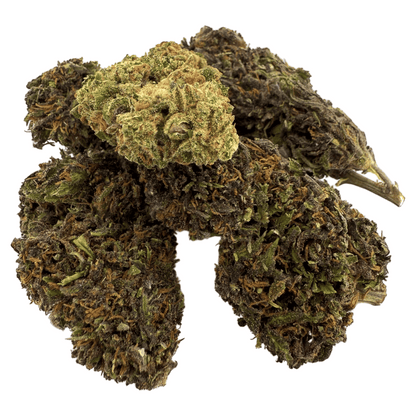 DOUBLE COOKIE – BIO-CBD-BLÜTE