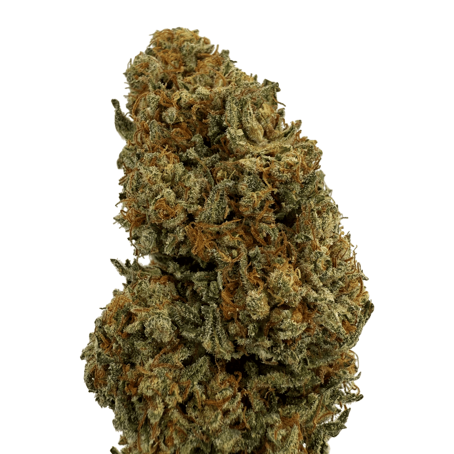 ALLIUM OG – BIO-CBD-BLÜTE – LICHTABTÖNUNG