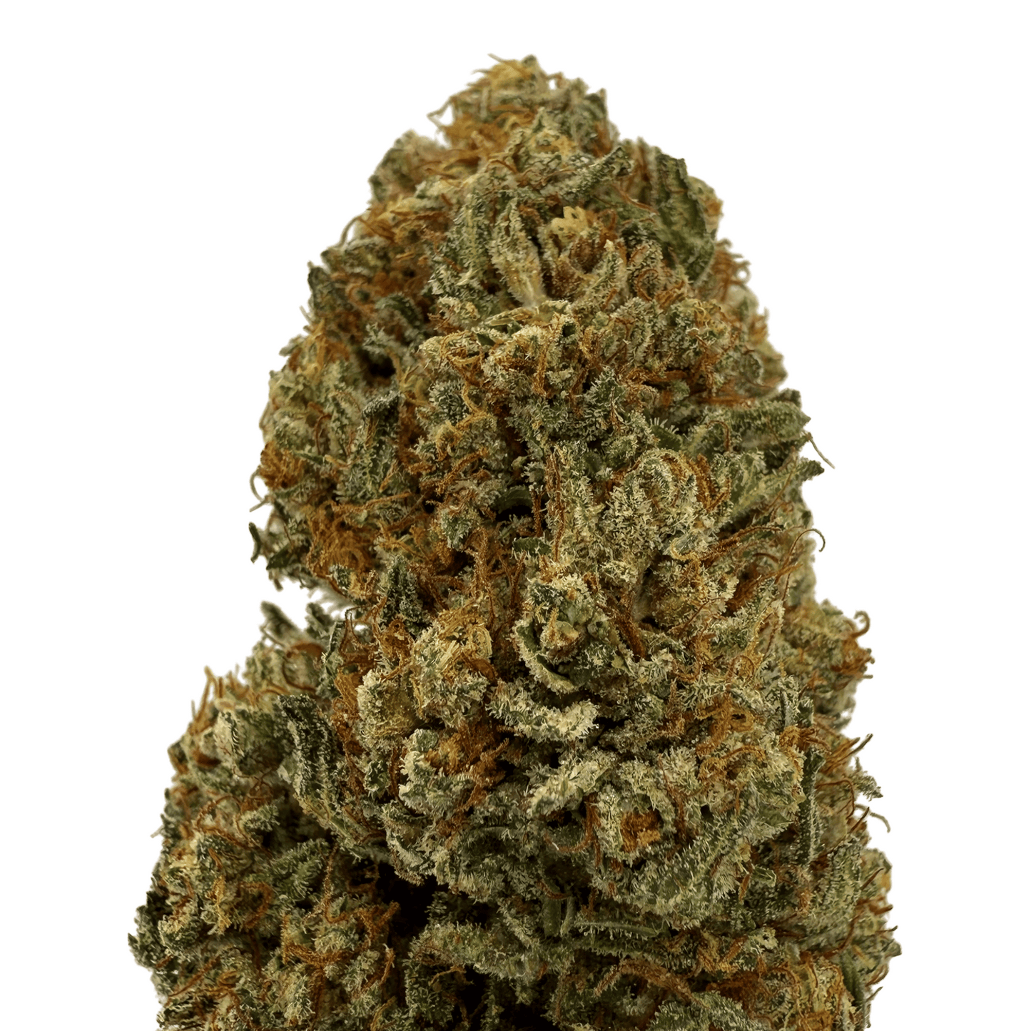 ALLIUM OG – BIO-CBD-BLÜTE – LICHTABTÖNUNG