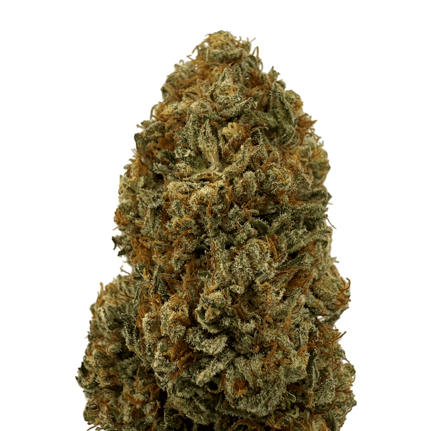 ALLIUM OG – BIO-CBD-BLÜTE – LICHTABTÖNUNG
