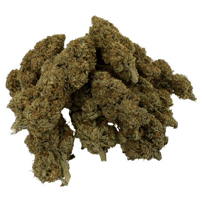 ALLIUM OG – BIO-CBD-BLÜTE – LICHTABTÖNUNG