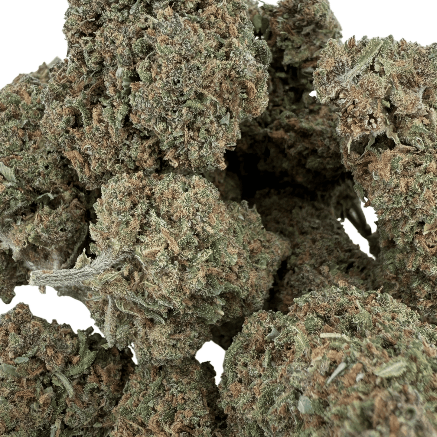 AMNESIA – BIO-CBD-BLÜTE