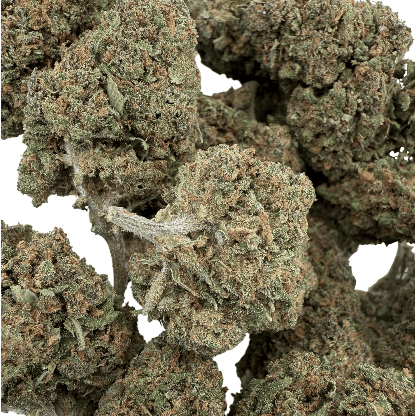 AMNESIA – BIO-CBD-BLÜTE
