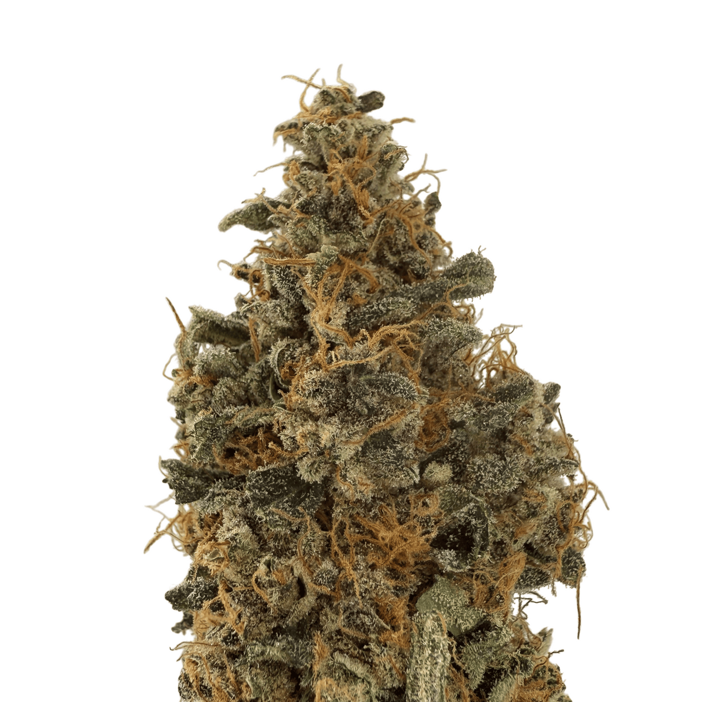 BANANA YAK - CBD BLÜTE - INDOOR