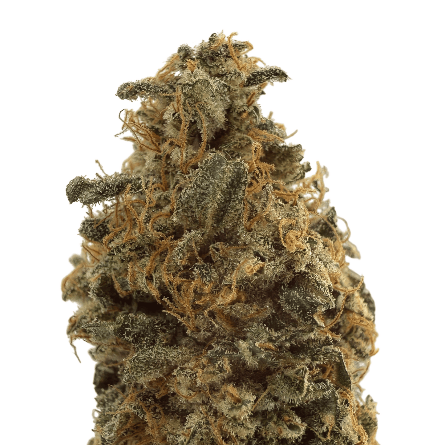 BANANA YAK - CBD BLÜTE - INDOOR