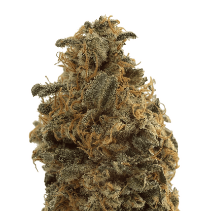 BANANA YAK - CBD BLÜTE - INDOOR