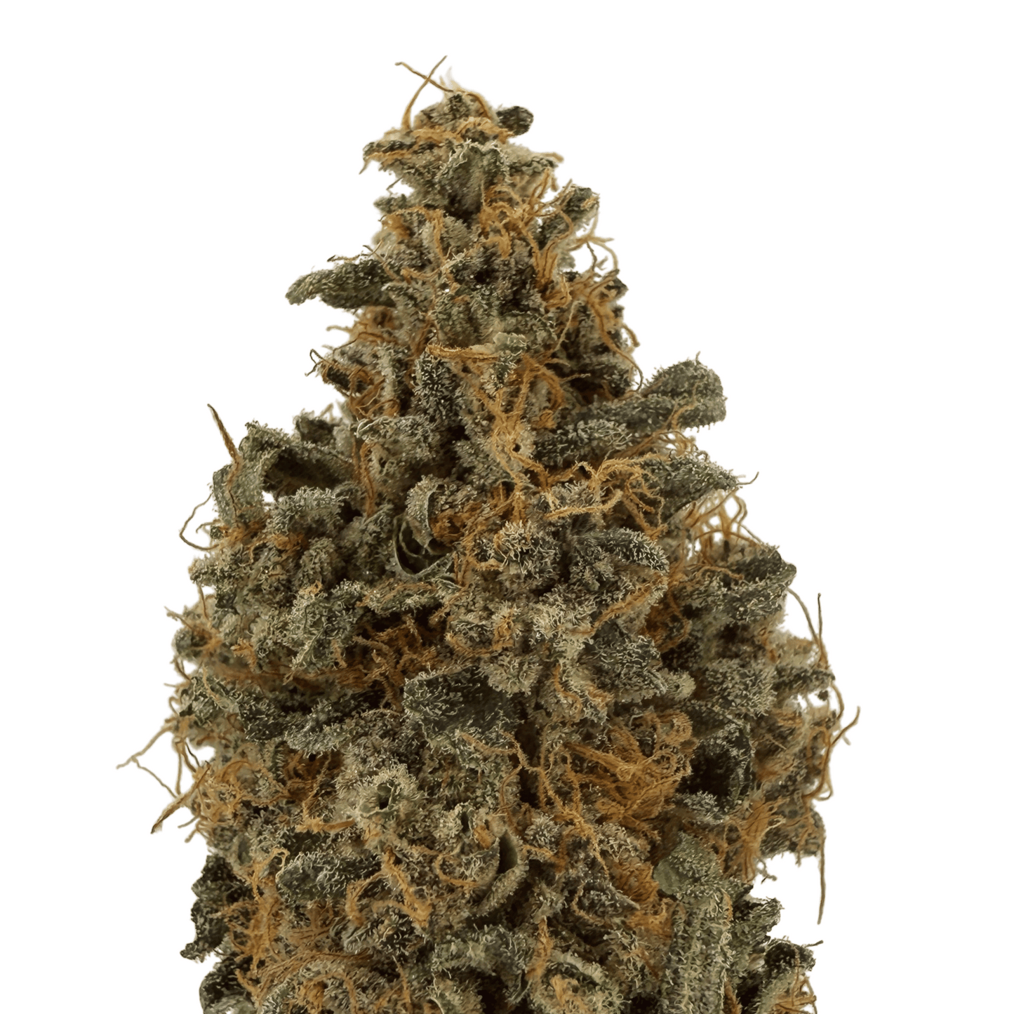 BANANA YAK - CBD BLÜTE - INDOOR