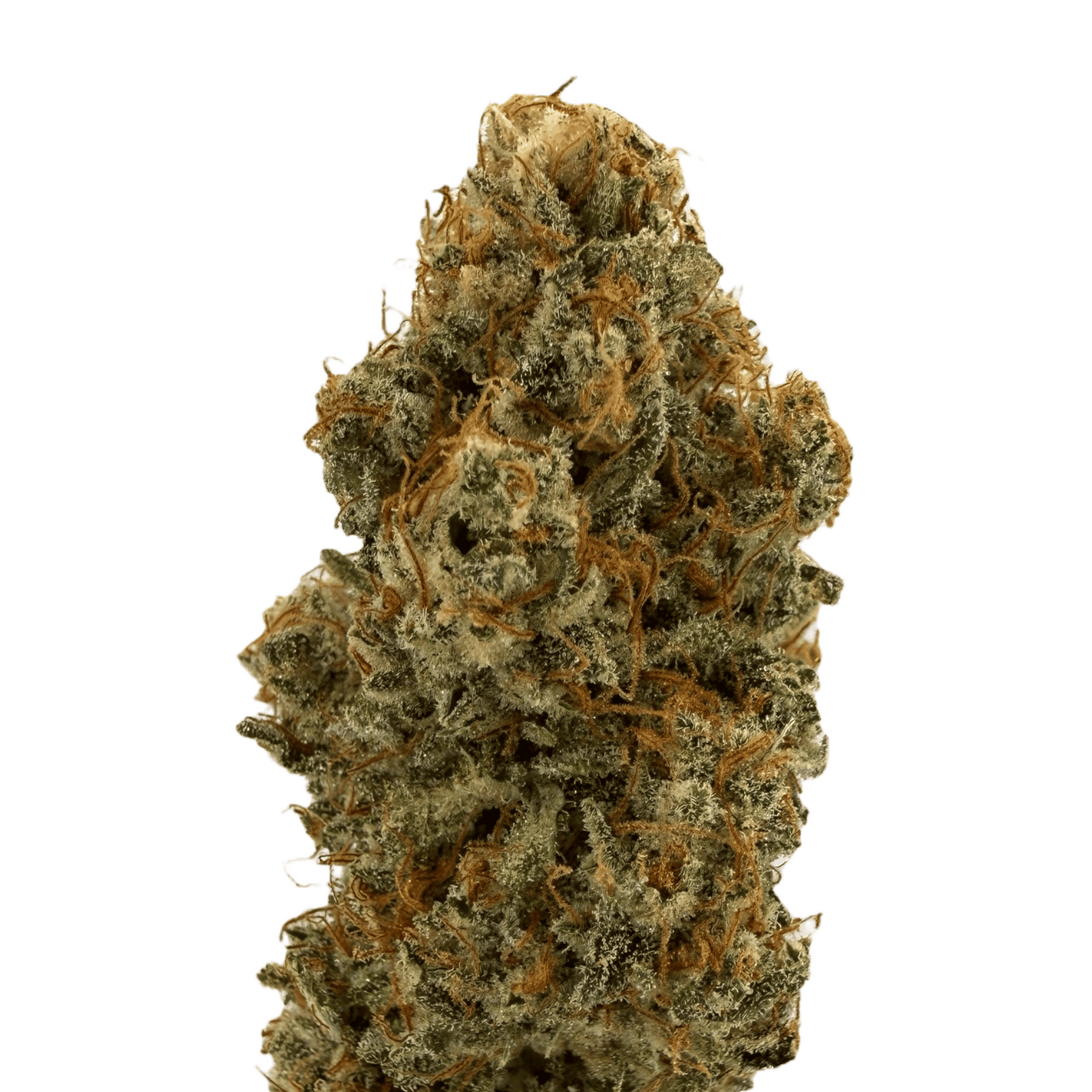 Teufelsfrucht – CBD-Blüte – Indoor 