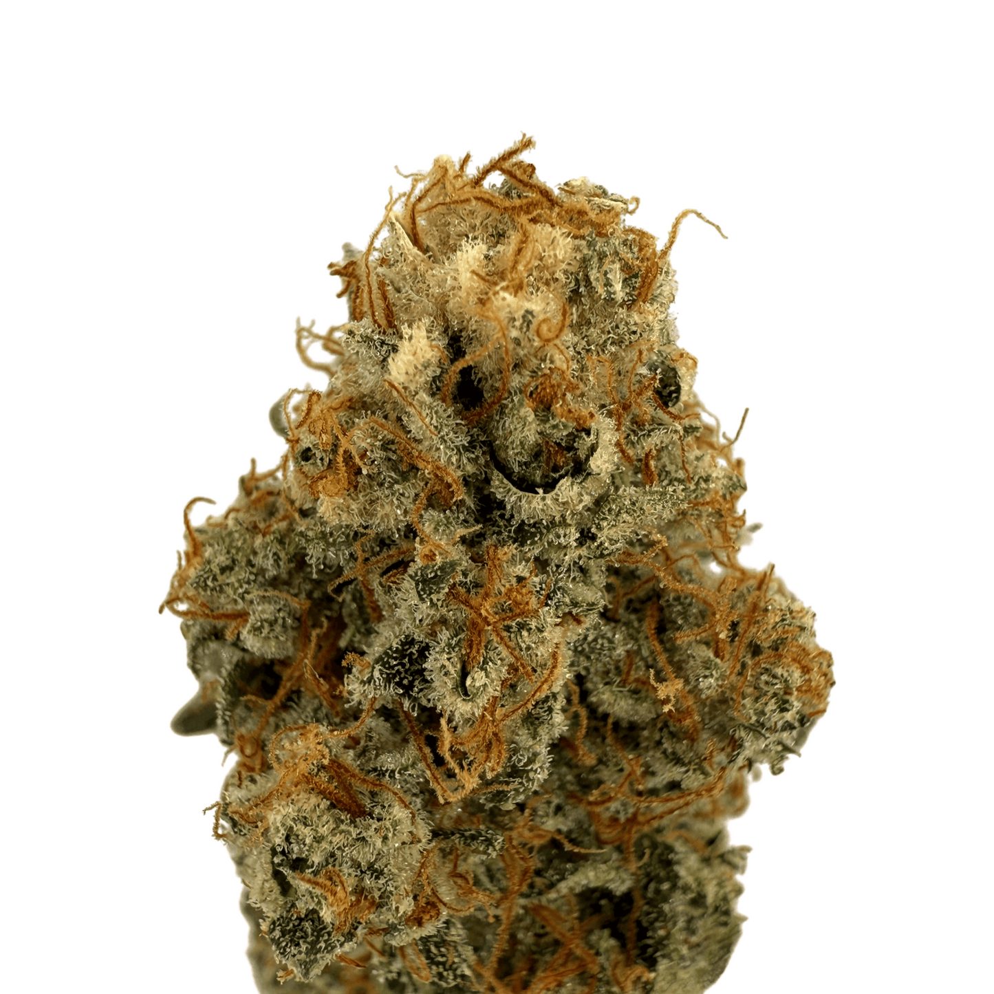 Teufelsfrucht – CBD-Blüte – Indoor 