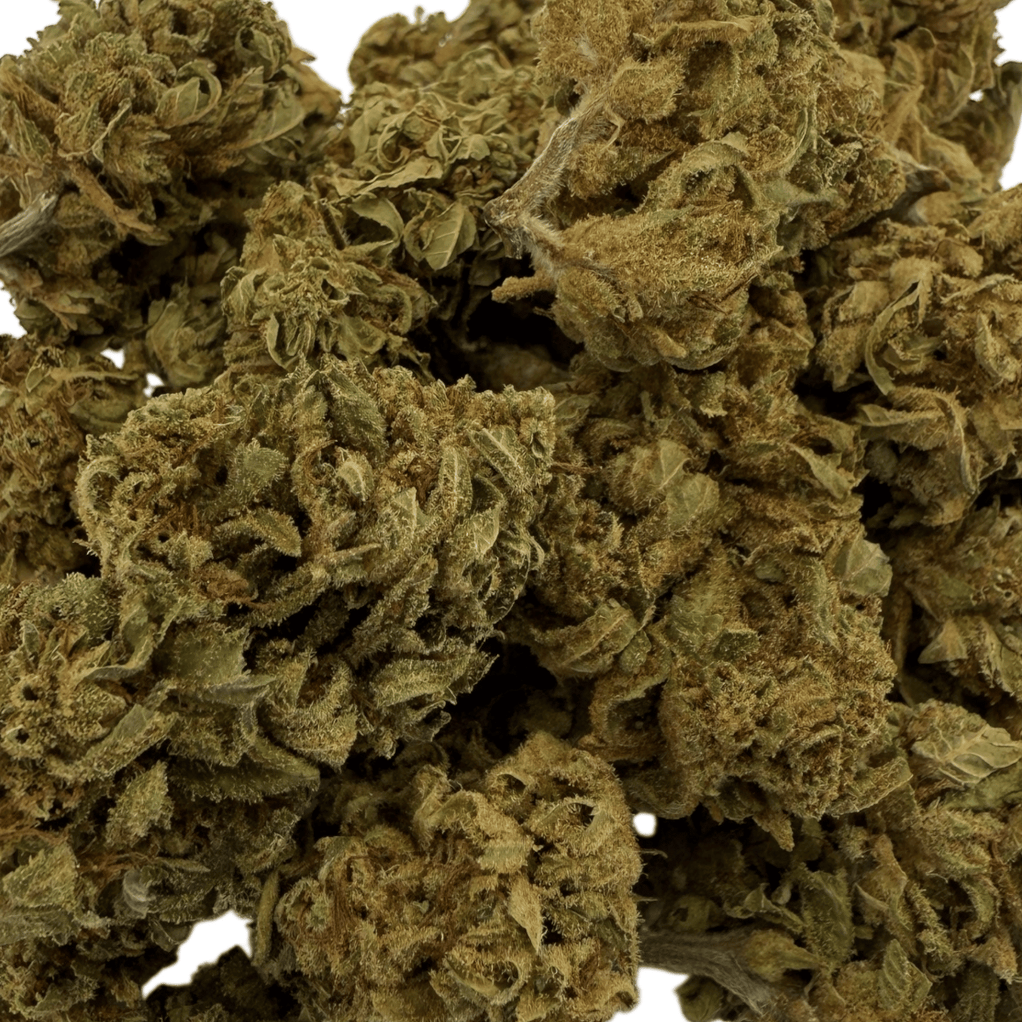 GELATO – BIO-CBD-BLÜTE