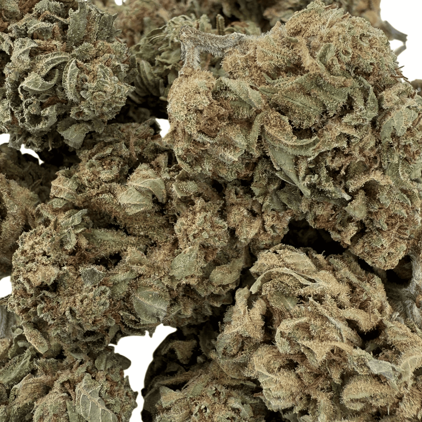 GELATO – BIO-CBD-BLÜTE