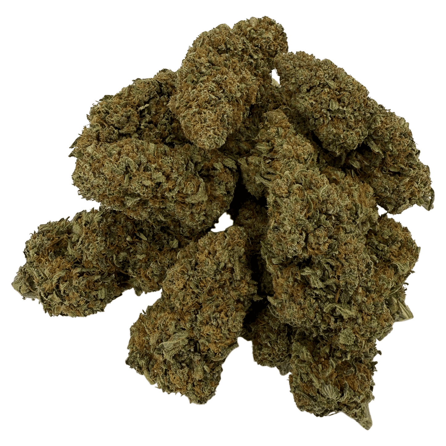 GODFATHER OG – BIO-CBD-BLÜTE – LICHTABILITÄT