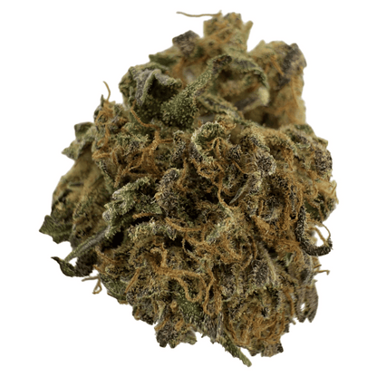 GOLDEN CHEESE – KLEINE BIO-CBD-BLÜTE 