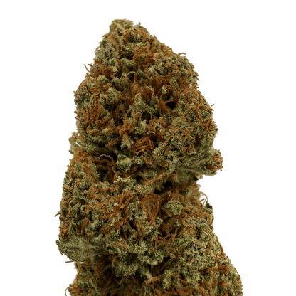 GOLDEN ORIENT – BIO-CBD-BLÜTE – LICHTABILITÄT